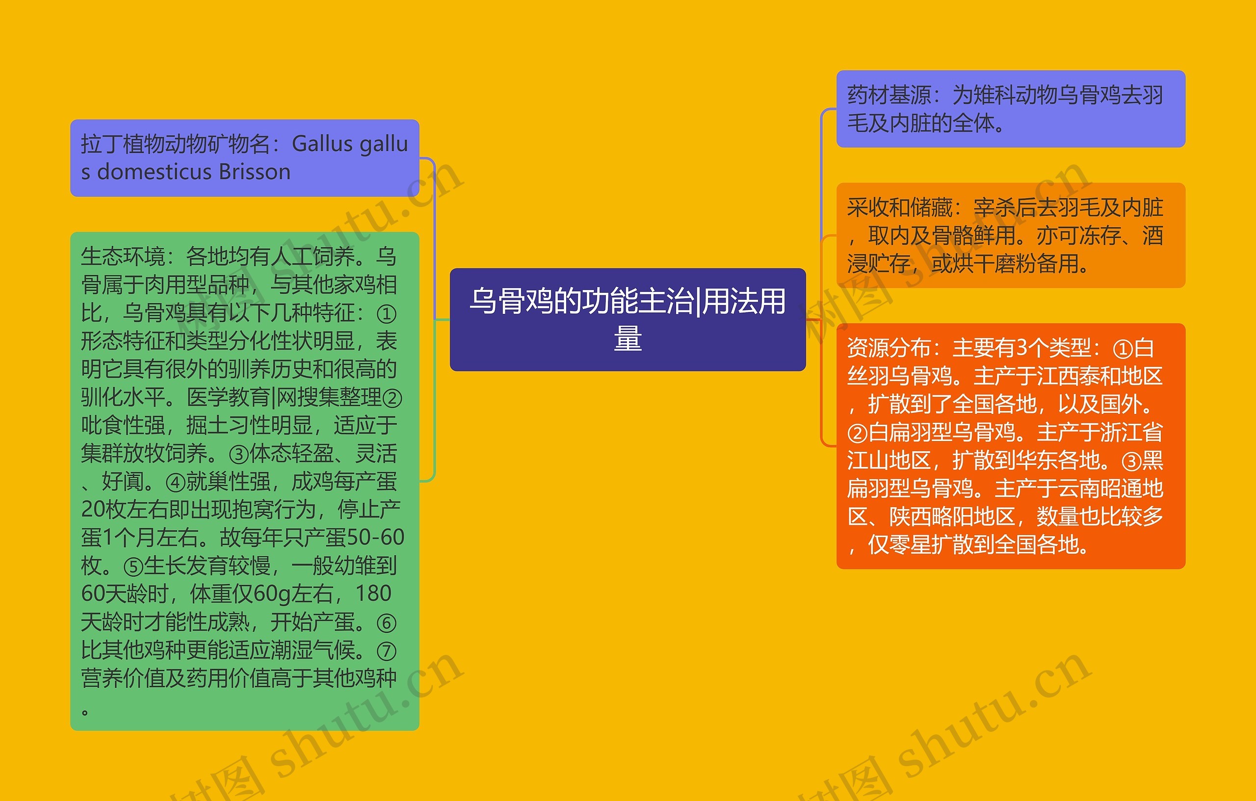 乌骨鸡的功能主治|用法用量思维导图