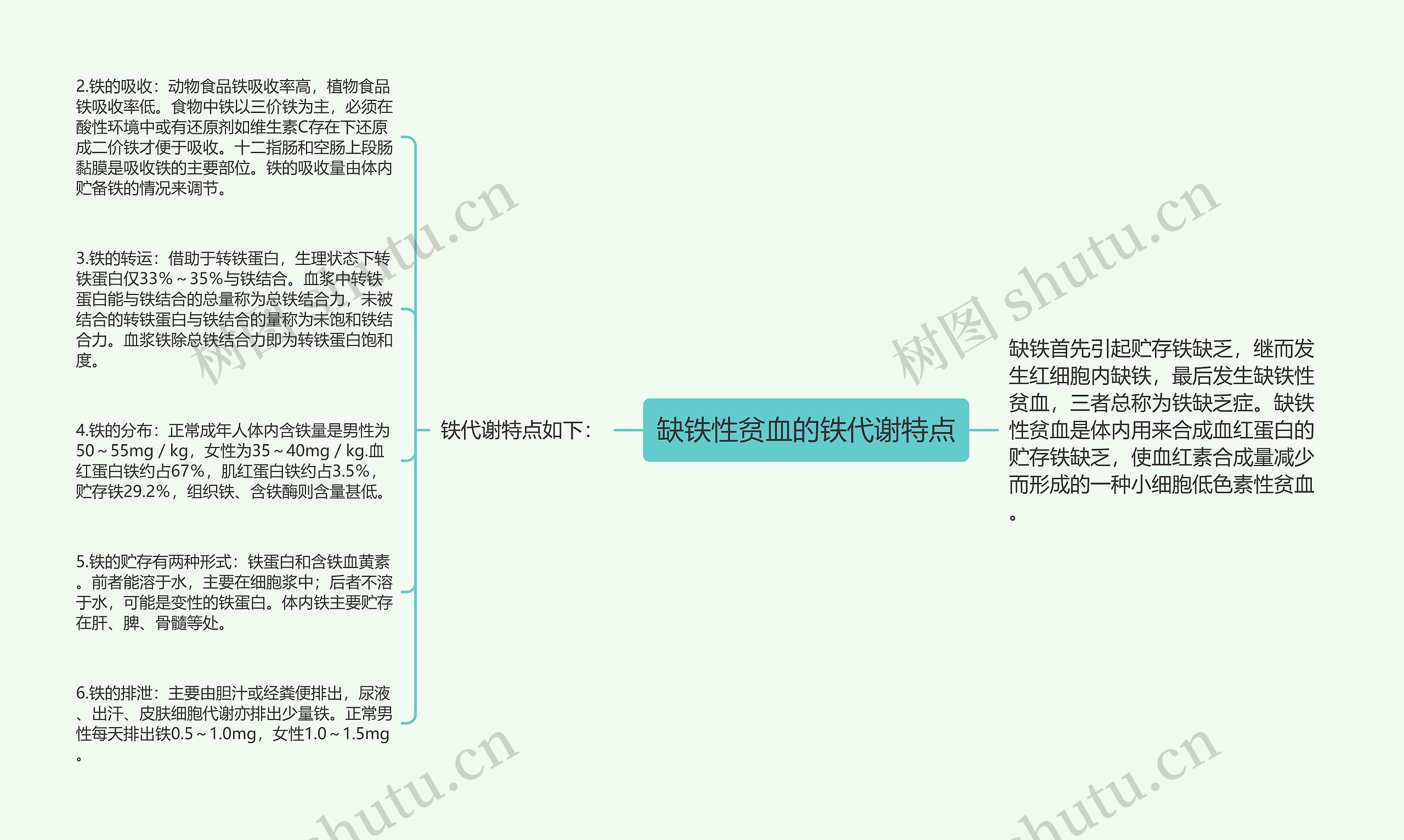 缺铁性贫血的铁代谢特点思维导图