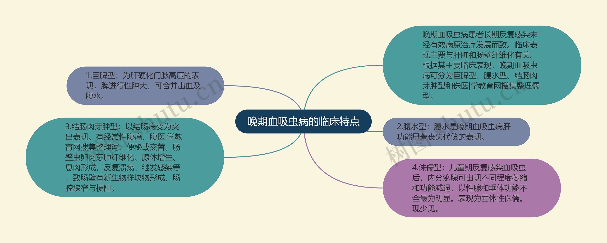 晚期血吸虫病的临床特点