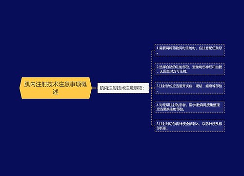 肌内注射技术注意事项概述