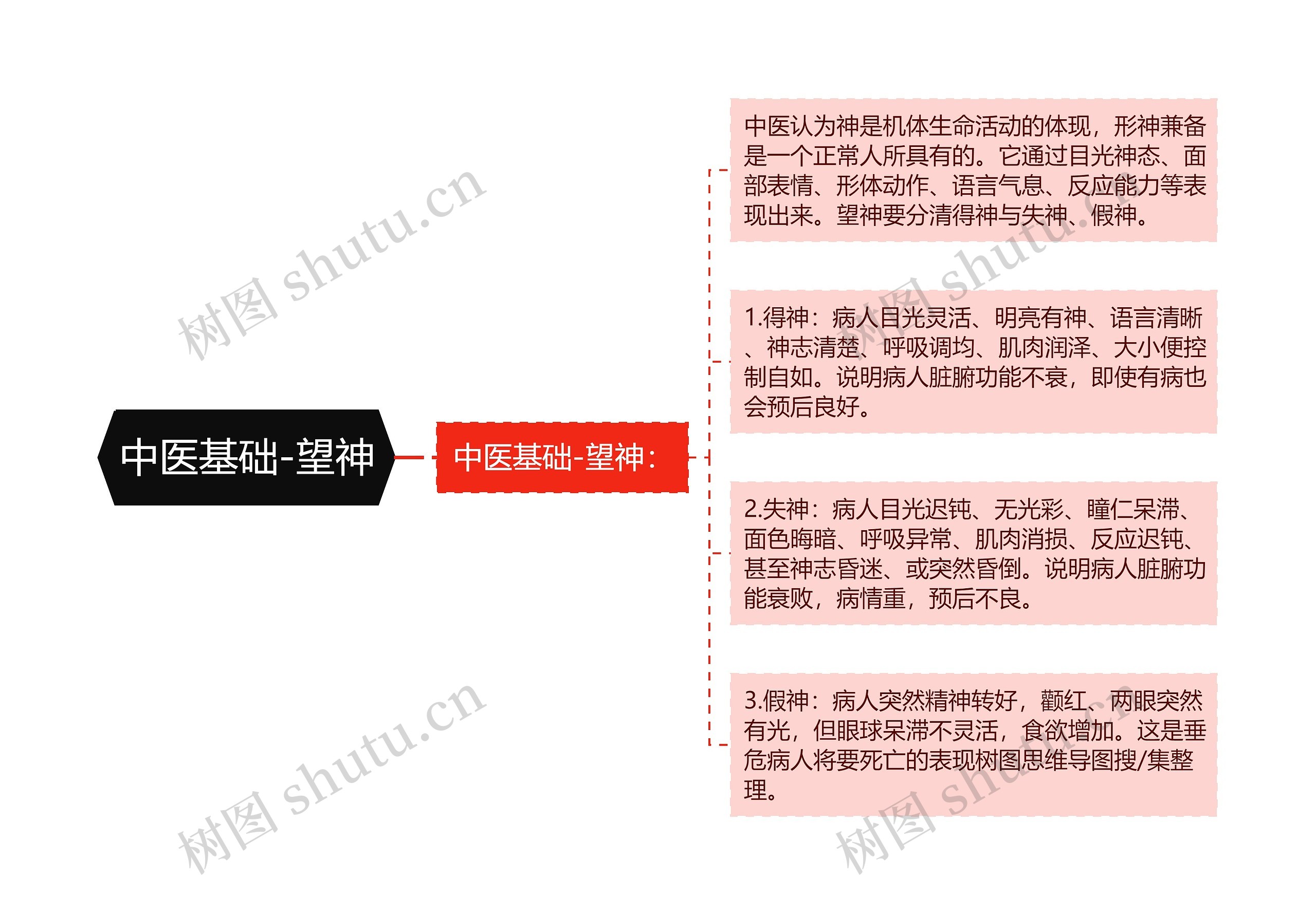 中医基础-望神思维导图