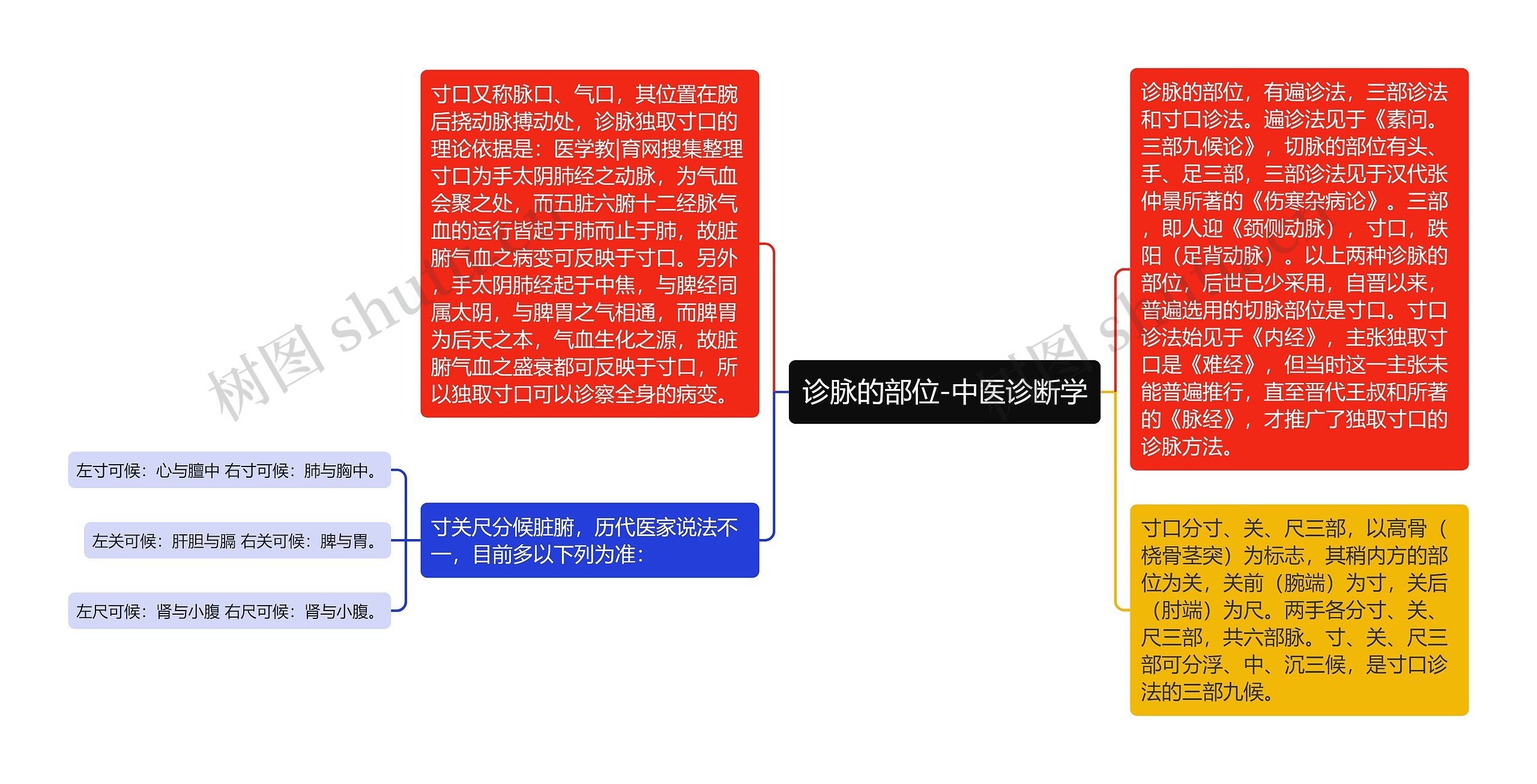 诊脉的部位-中医诊断学