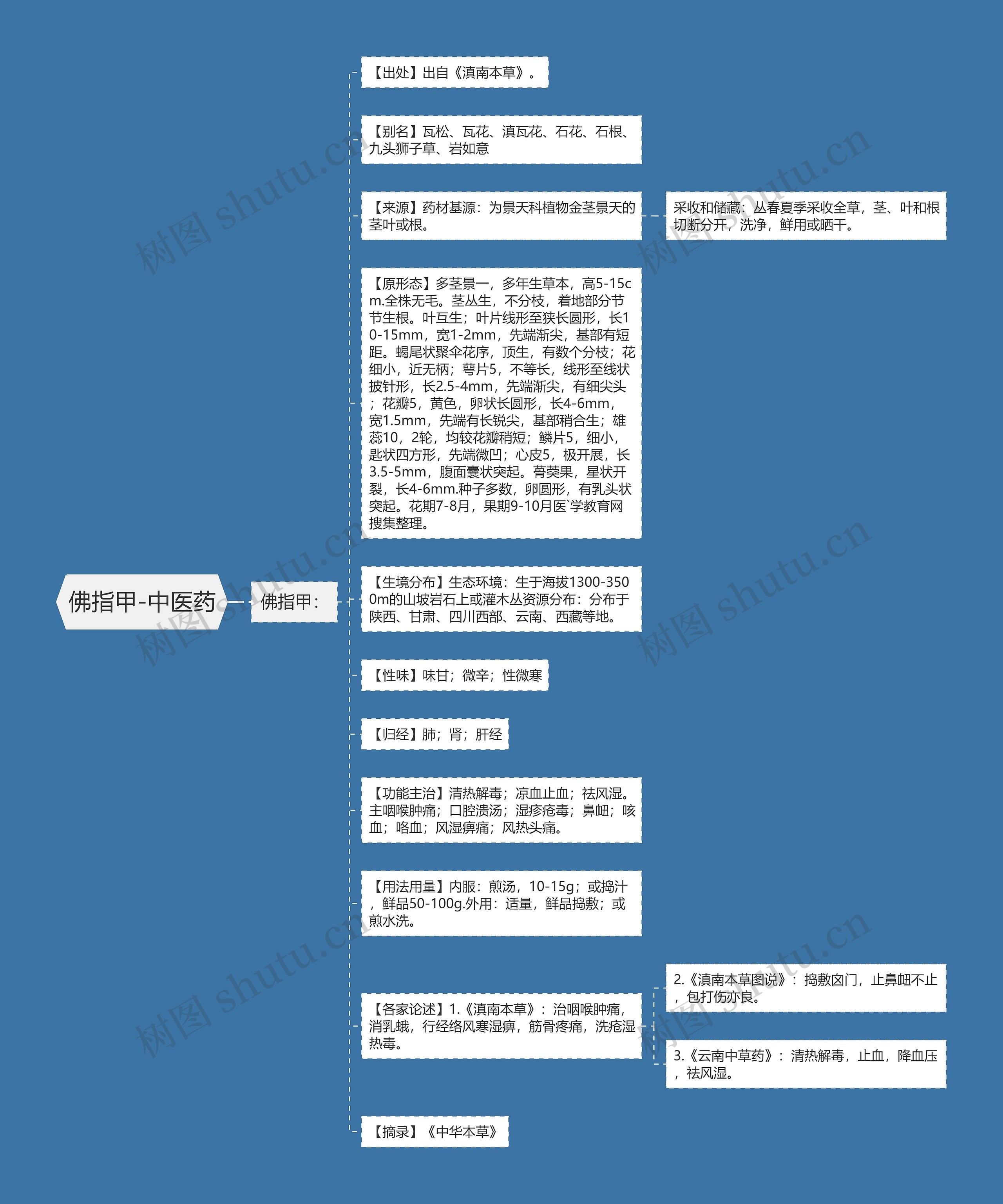 佛指甲-中医药思维导图
