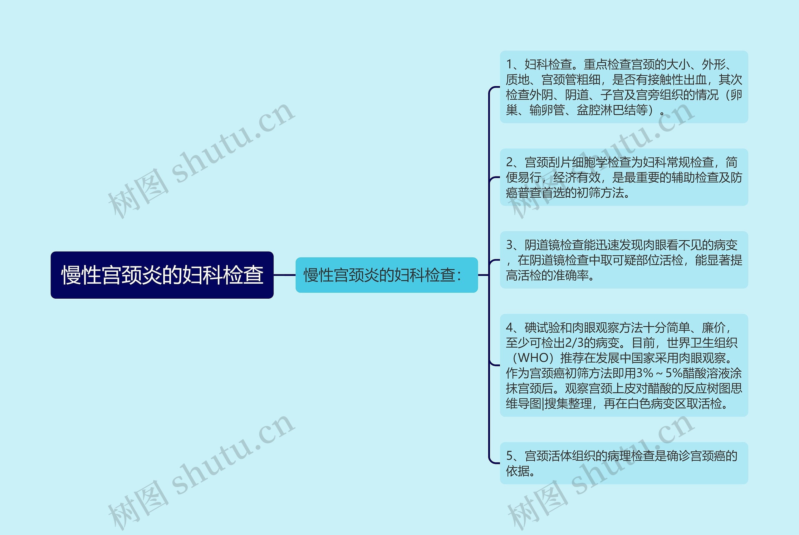 慢性宫颈炎的妇科检查思维导图