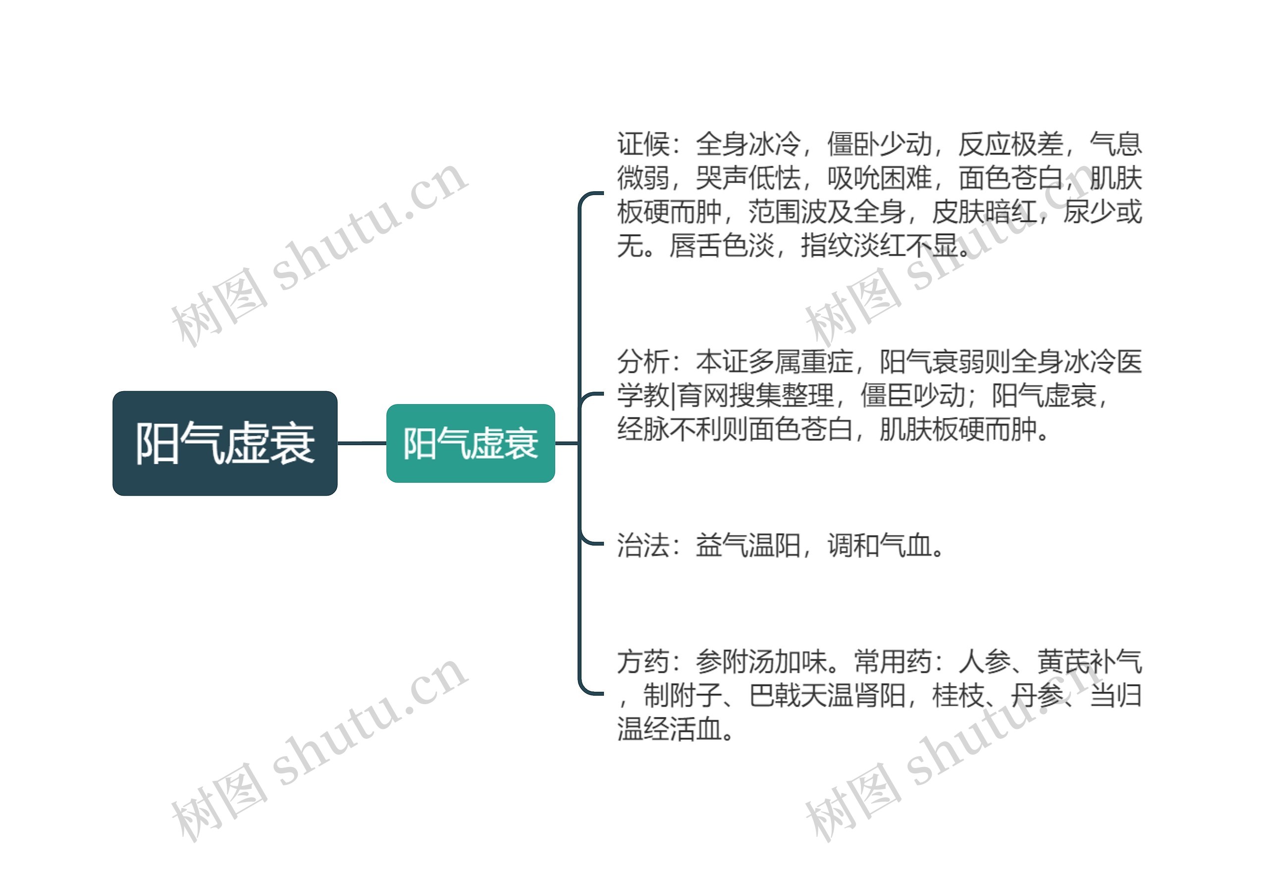 阳气虚衰思维导图