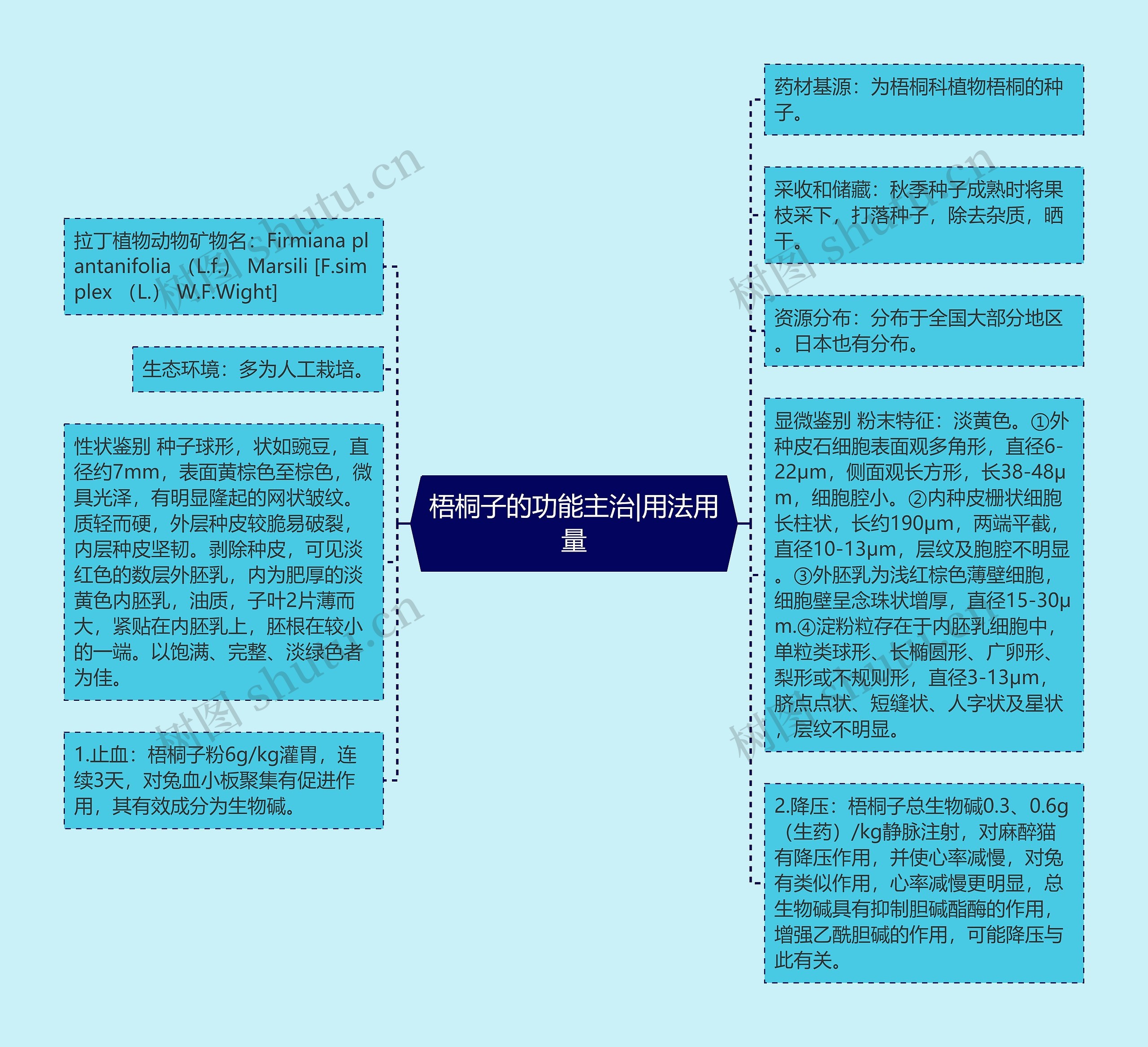 梧桐子的功能主治|用法用量 梧桐子的功能主治|用法用量