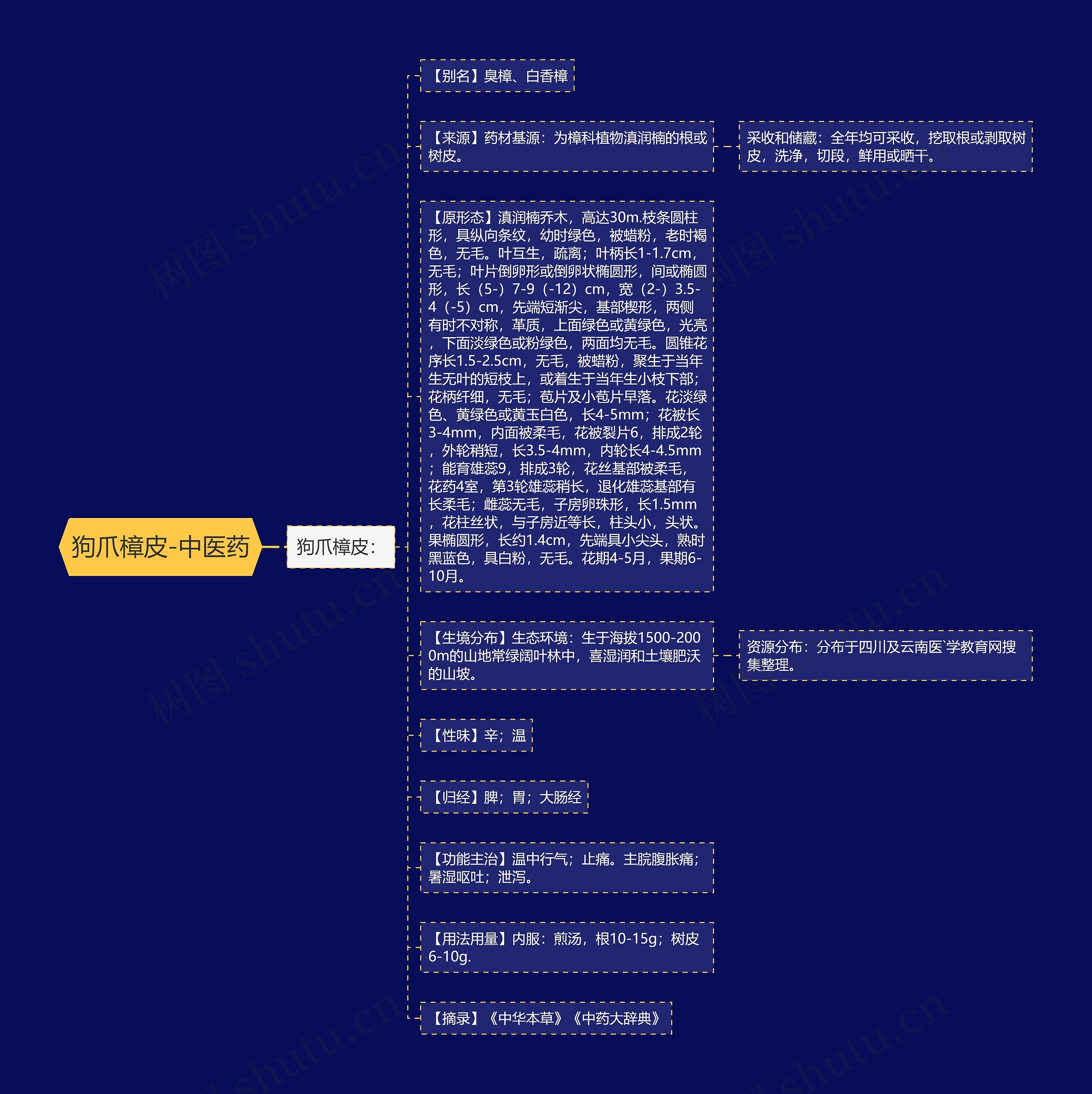 狗爪樟皮-中医药思维导图
