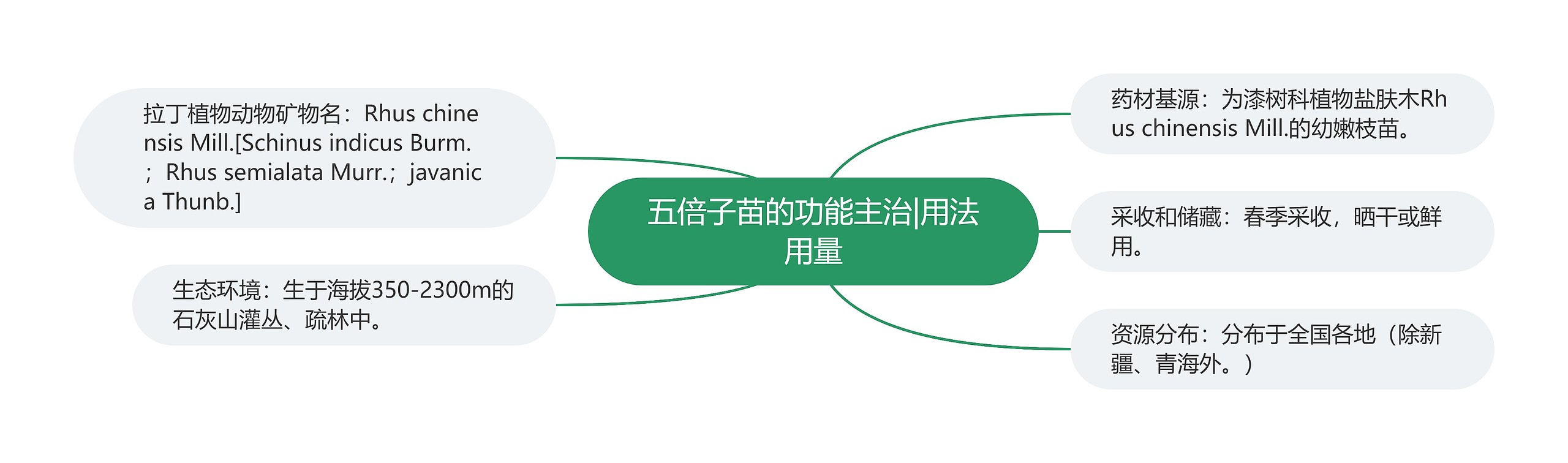 五倍子苗的功能主治|用法用量 五倍子苗的功能主治|用法用量