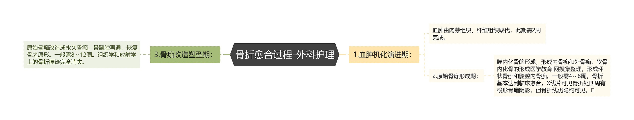 骨折愈合过程-外科护理 骨折愈合过程-外科护理