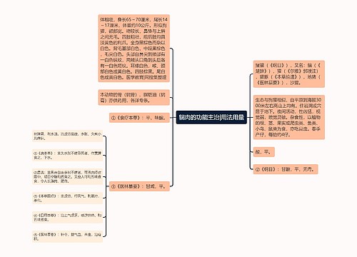 貒肉的功能主治|用法用量