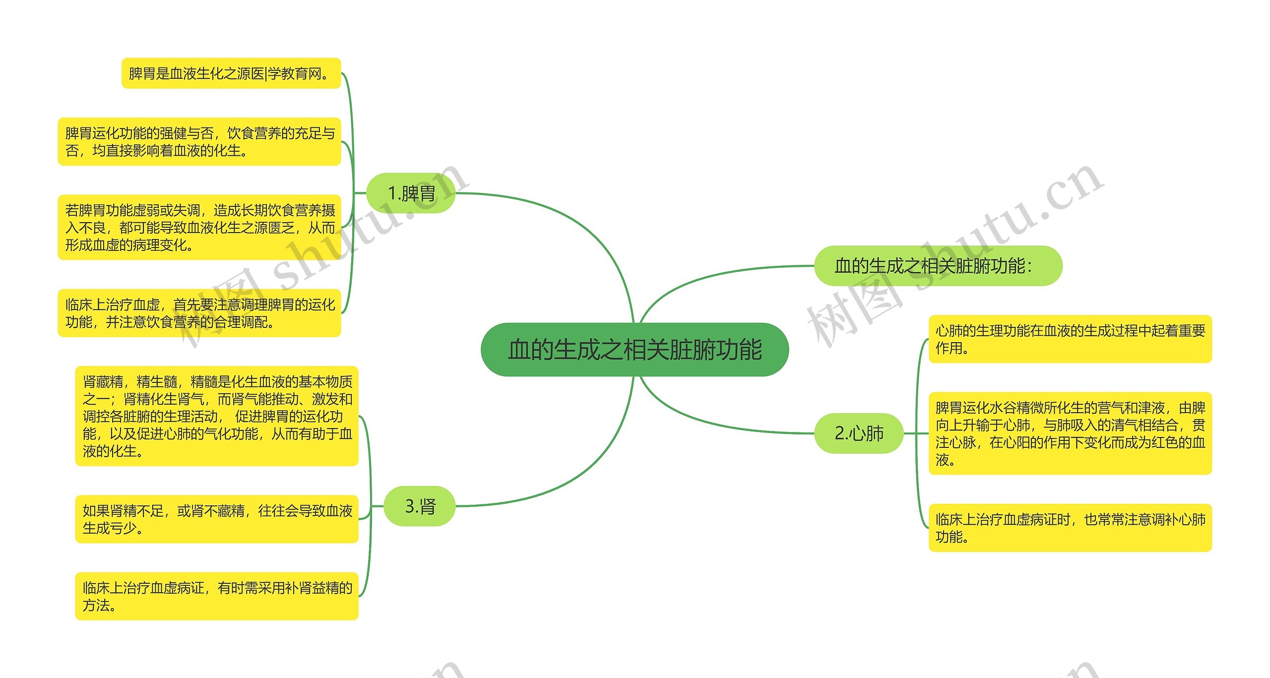 血的生成之相关脏腑功能思维导图