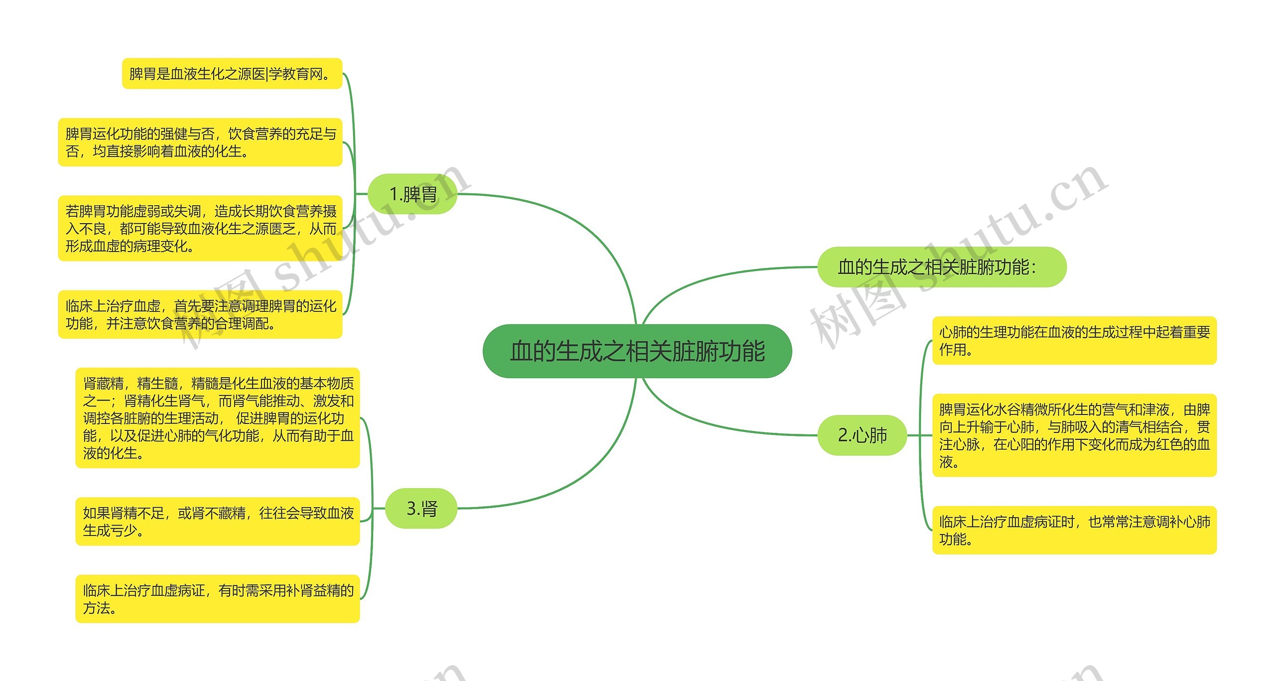 血的生成之相关脏腑功能 血的生成之相关脏腑功能