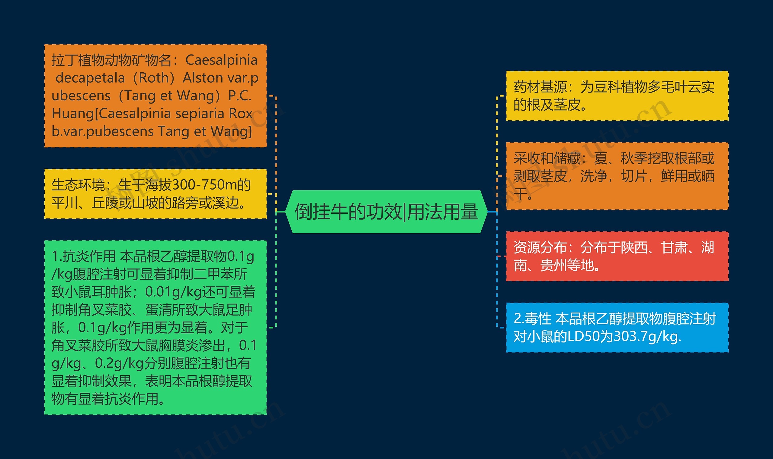 倒挂牛的功效|用法用量思维导图