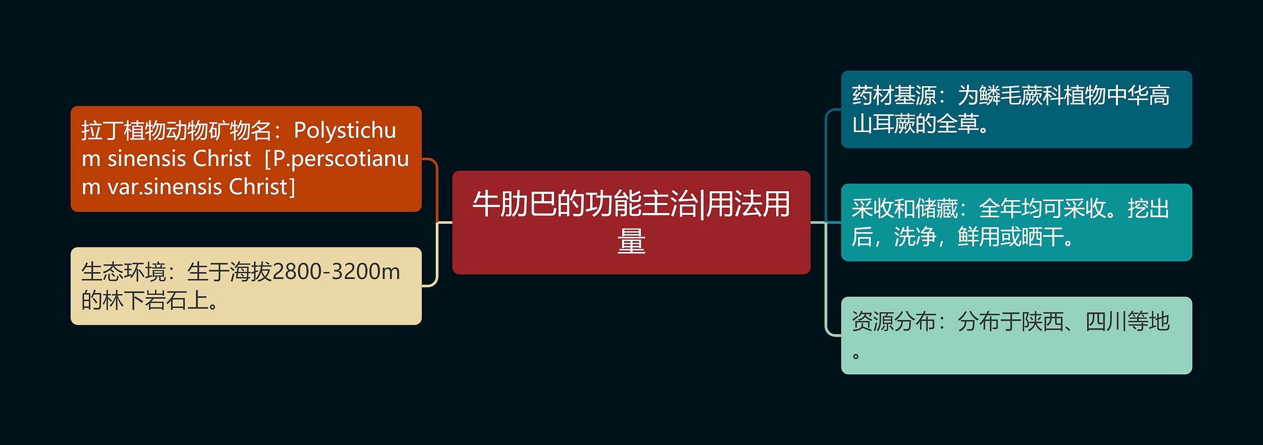 牛肋巴的功能主治|用法用量 牛肋巴的功能主治|用法用量