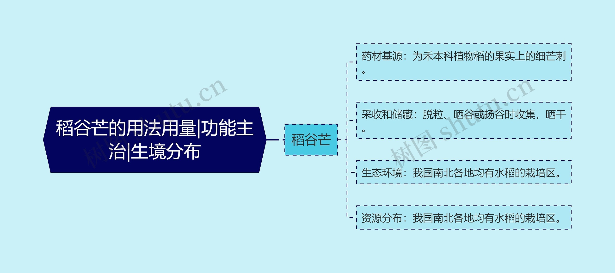 稻谷芒的用法用量|功能主治|生境分布思维导图