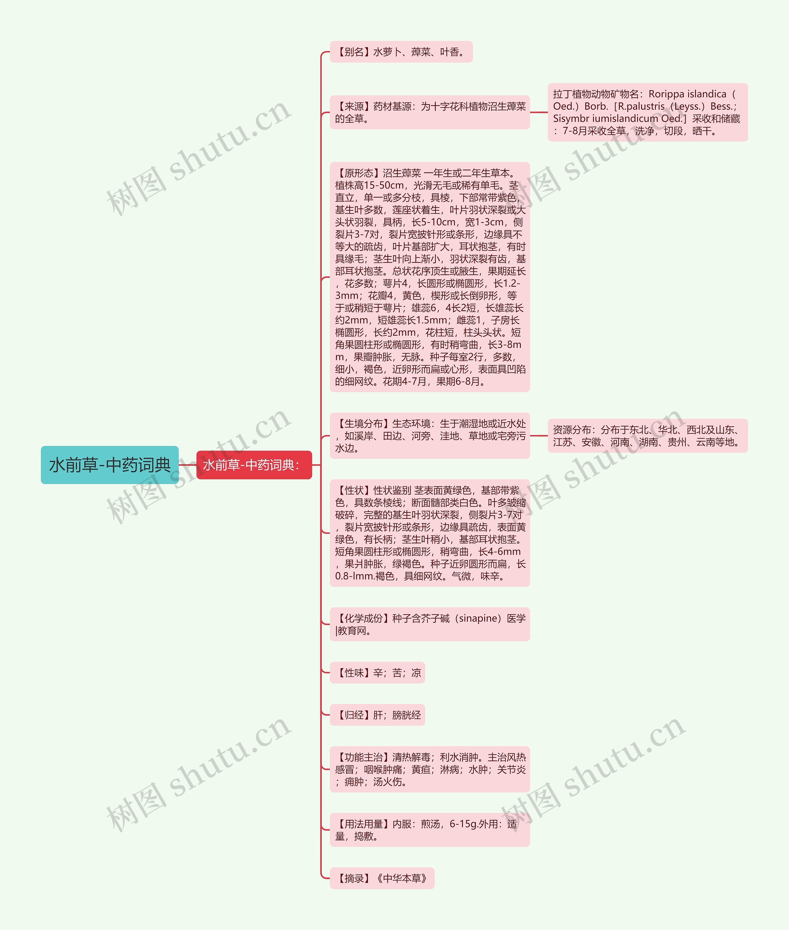 水前草-中药词典思维导图