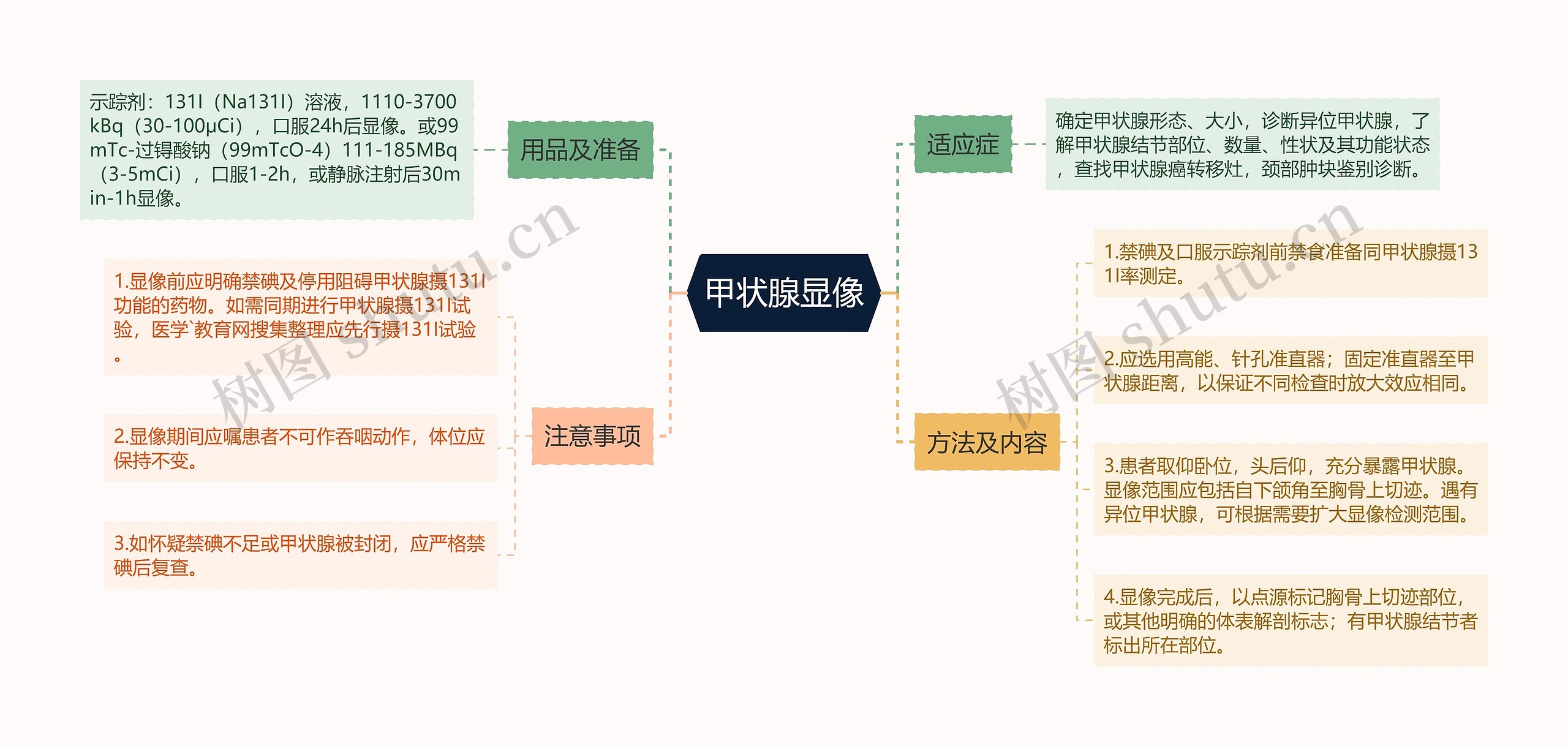 甲状腺显像思维导图