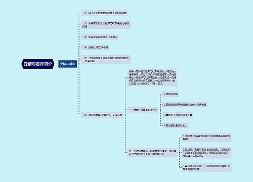 受精与着床简介