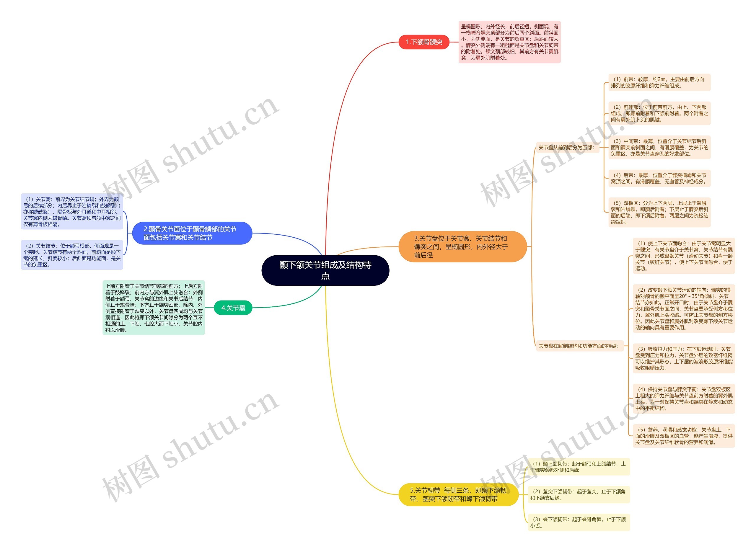颞下颌关节组成及结构特点 颞下颌关节组成及结构特点