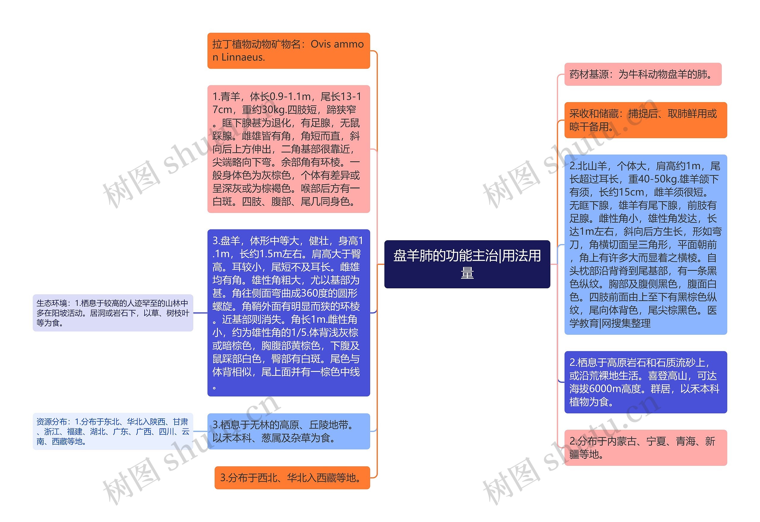 盘羊肺的功能主治|用法用量思维导图