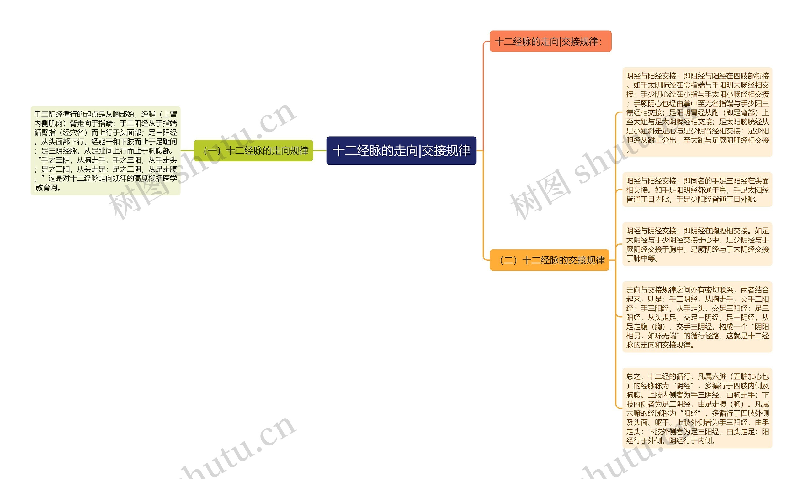 十二经脉的走向|交接规律思维导图