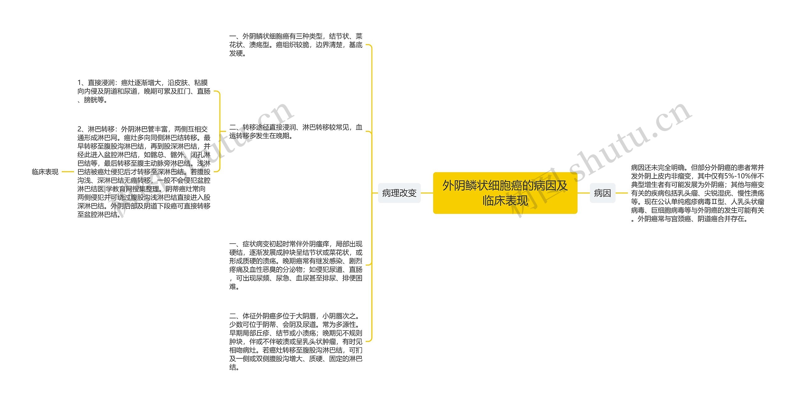 外阴鳞状细胞癌的病因及临床表现