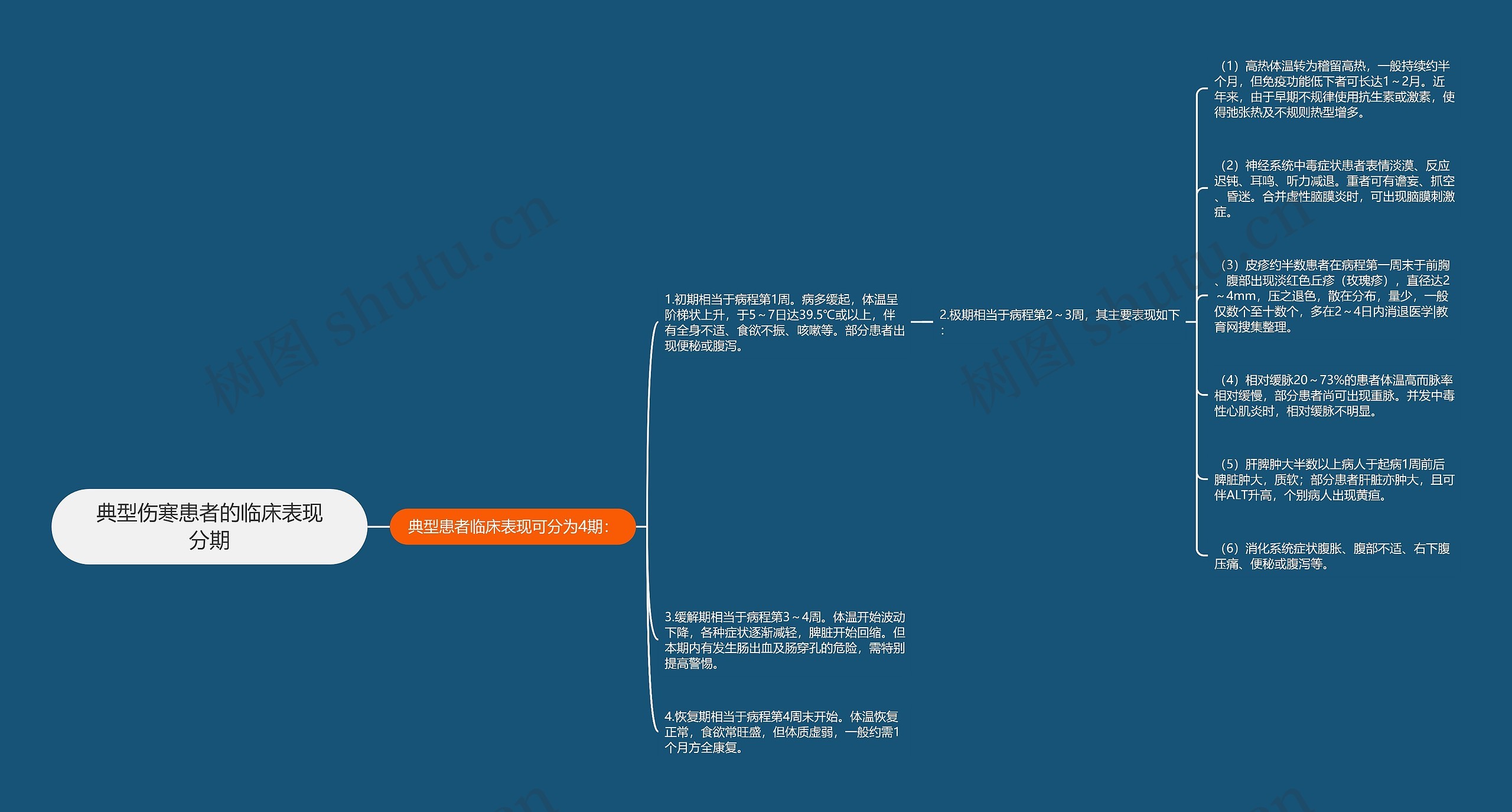 典型伤寒患者的临床表现分期