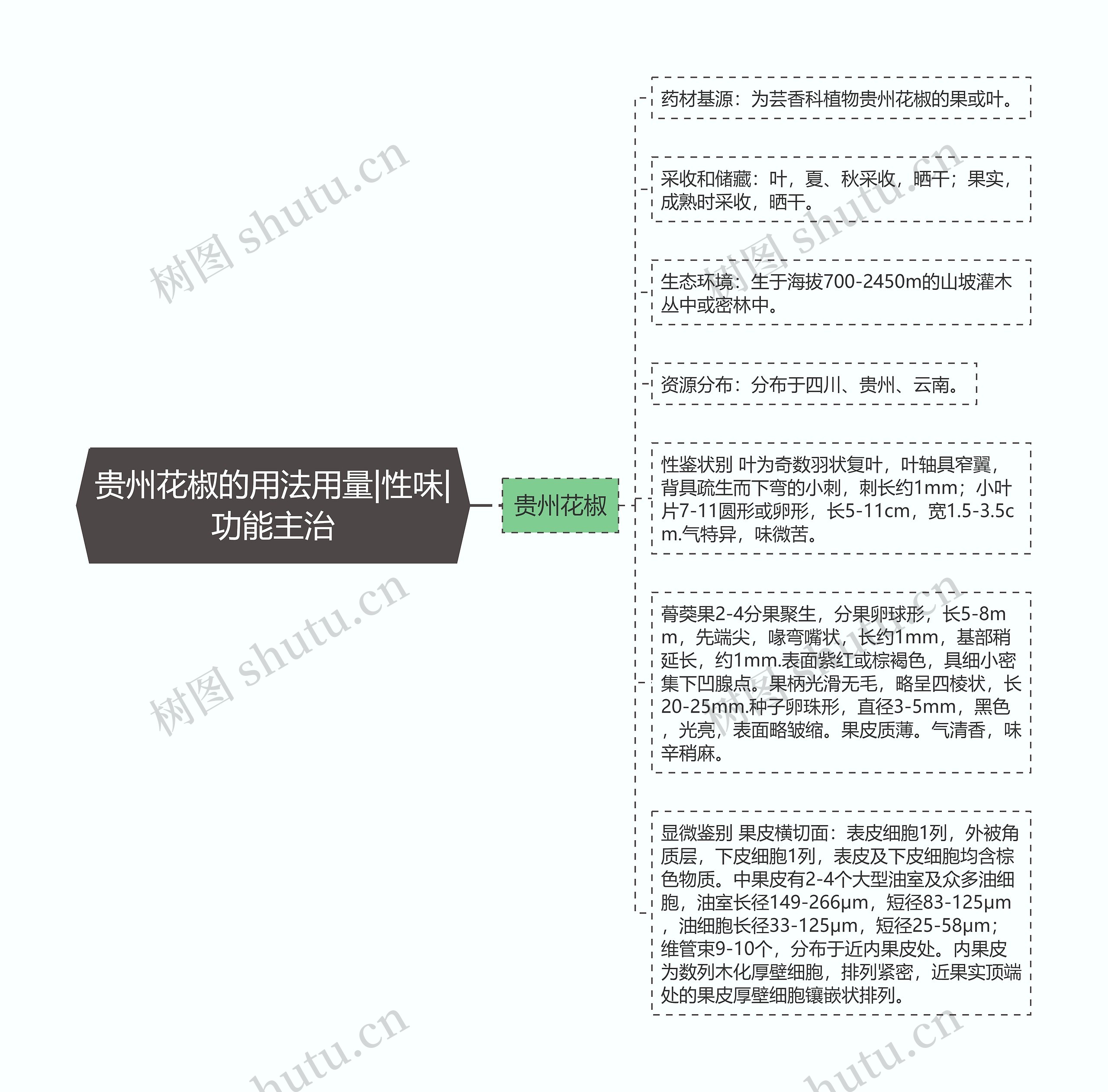 贵州花椒的用法用量|性味|功能主治思维导图