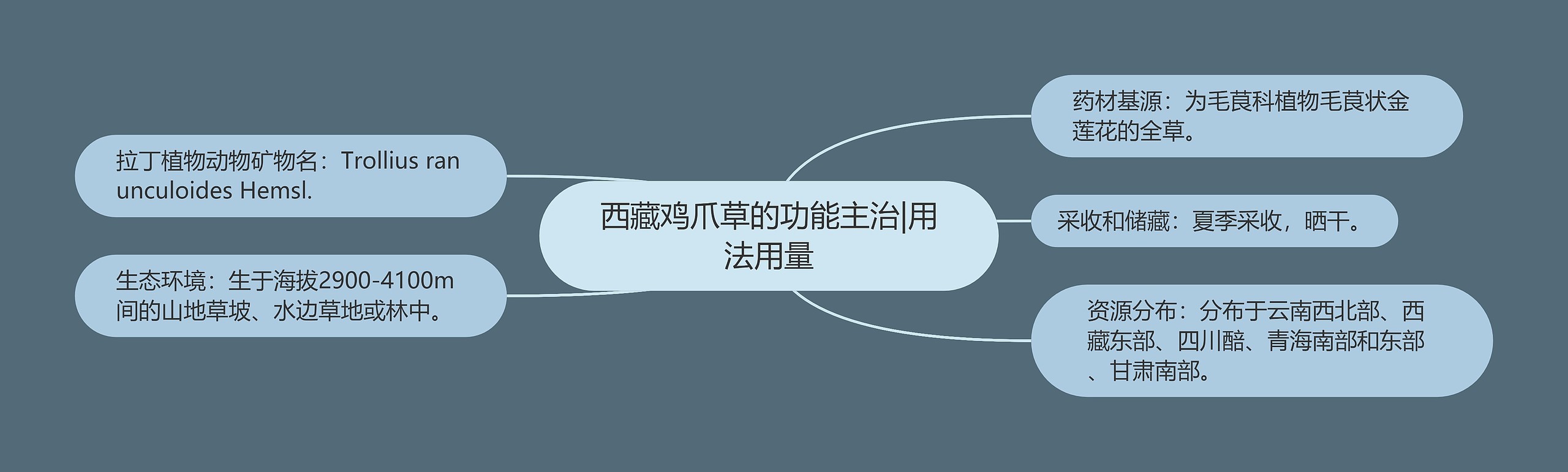 西藏鸡爪草的功能主治|用法用量