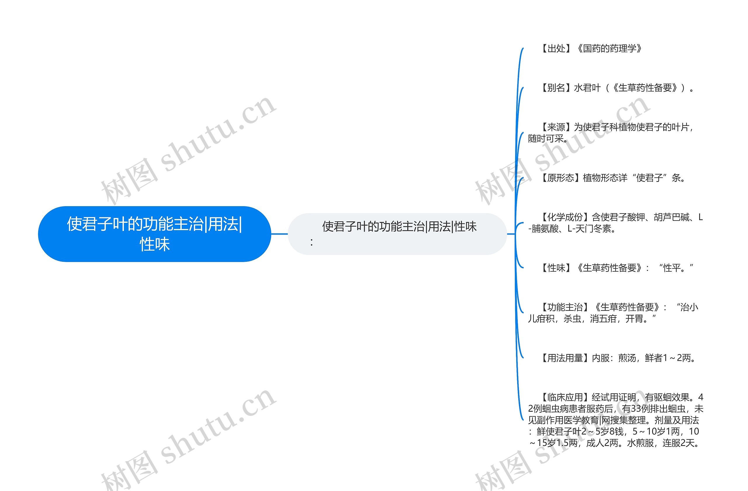 使君子叶的功能主治|用法|性味思维导图