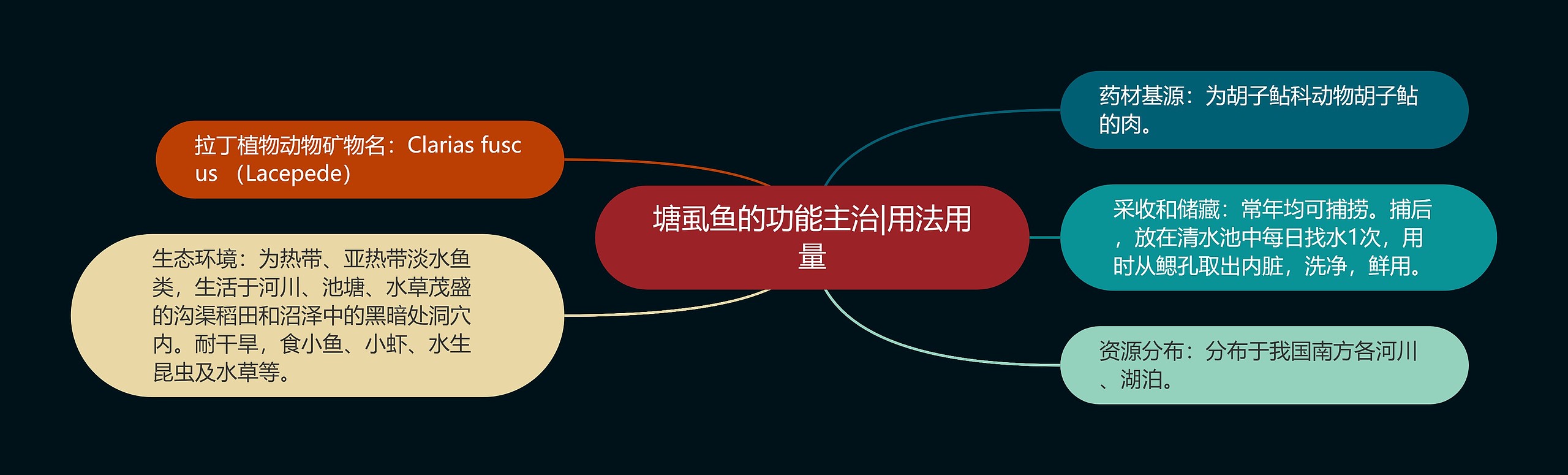 塘虱鱼的功能主治|用法用量 塘虱鱼的功能主治|用法用量