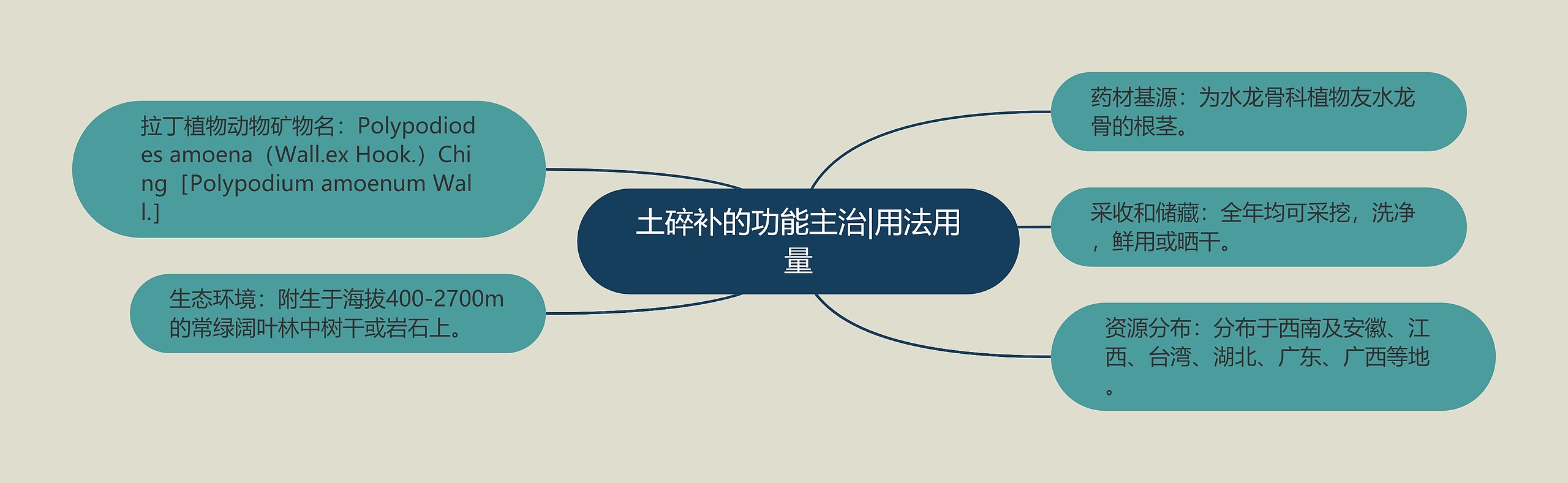 土碎补的功能主治|用法用量 土碎补的功能主治|用法用量