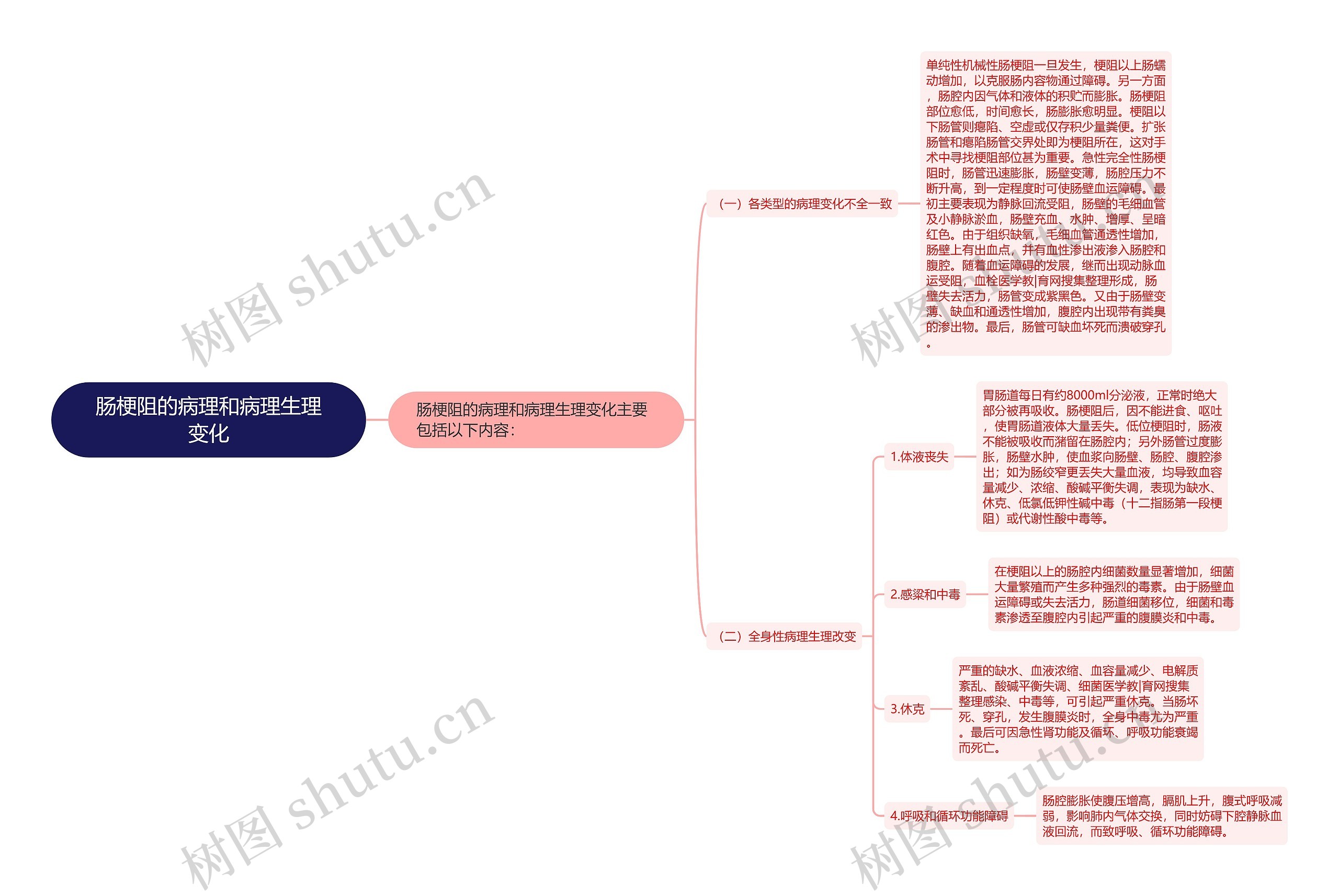 肠梗阻的病理和病理生理变化思维导图