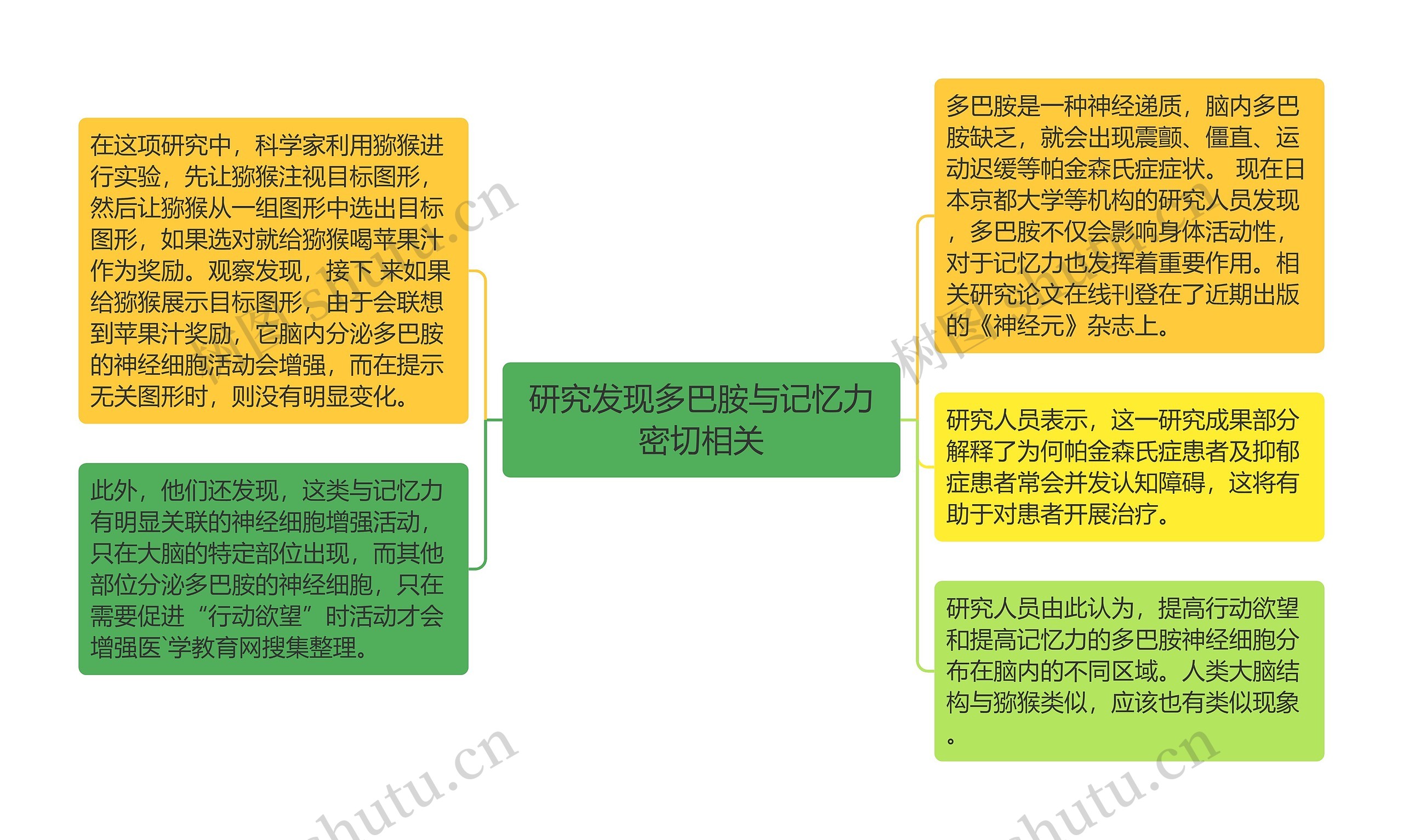 研究发现多巴胺与记忆力密切相关思维导图