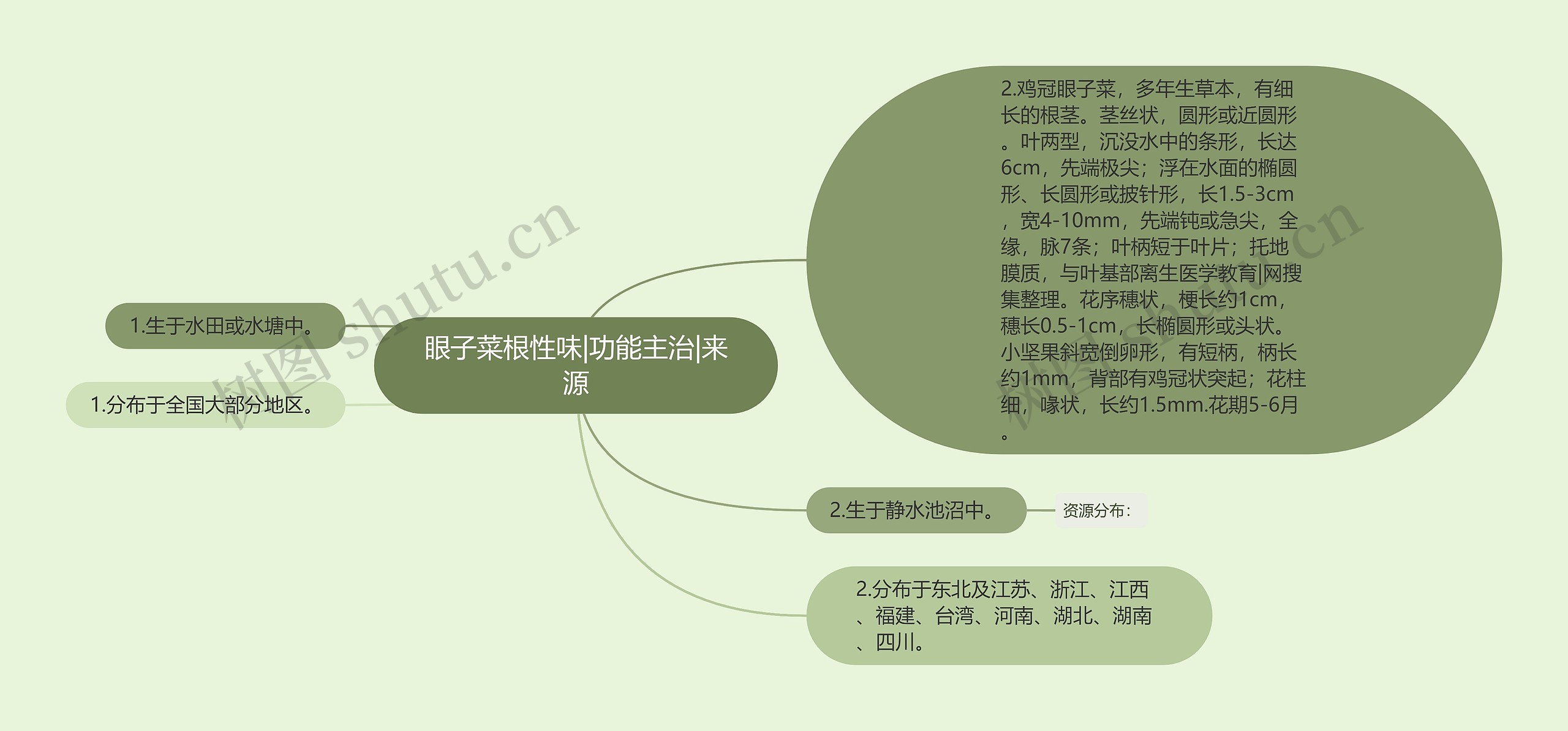 眼子菜根性味|功能主治|来源思维导图高清图 眼子菜根性味|功能主治|来源思维导图