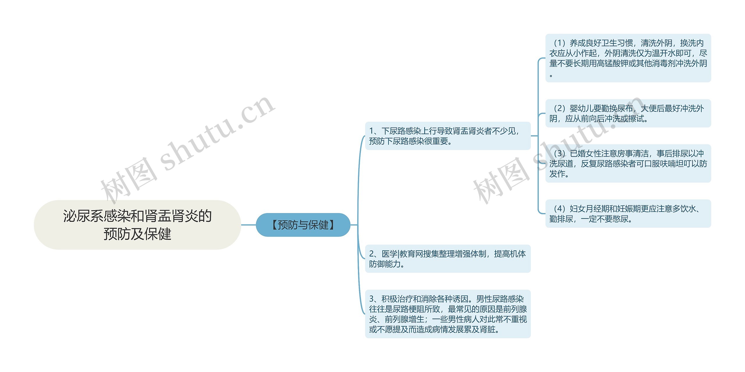 泌尿系感染和肾盂肾炎的预防及保健思维导图