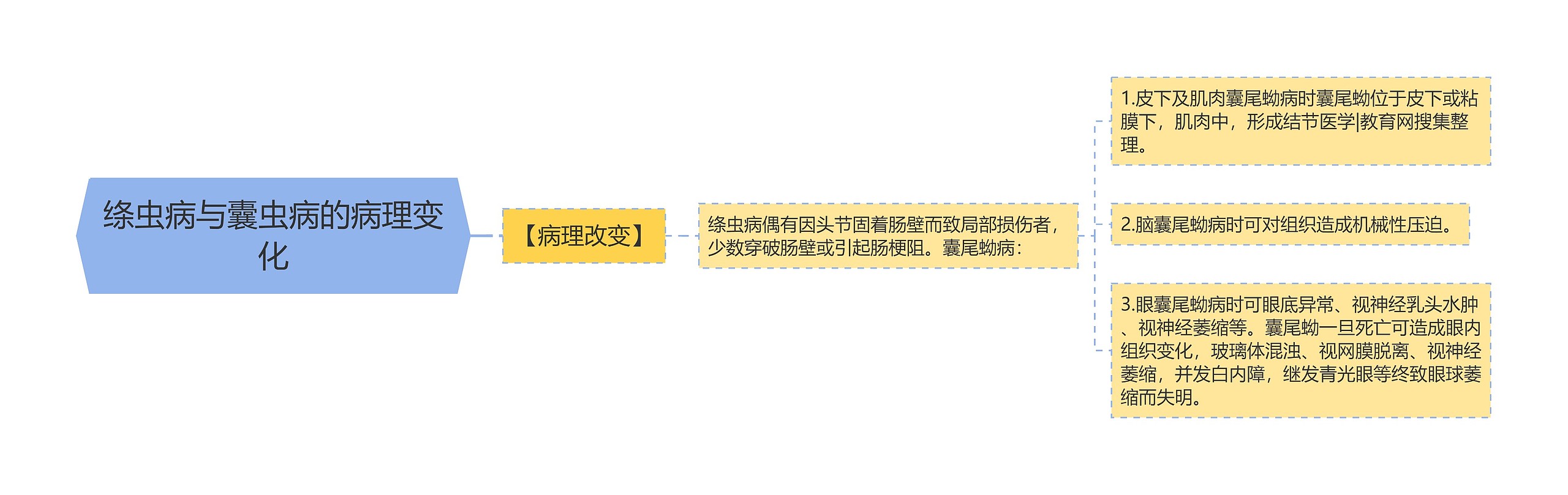绦虫病与囊虫病的病理变化 绦虫病与囊虫病的病理变化