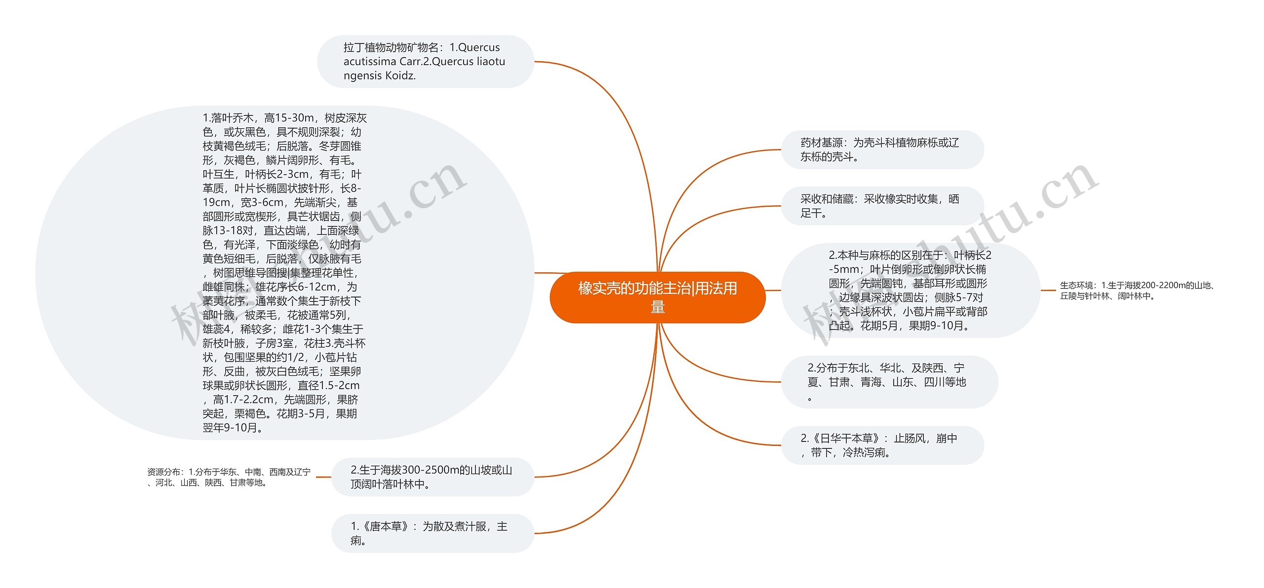 橡实壳的功能主治|用法用量思维导图