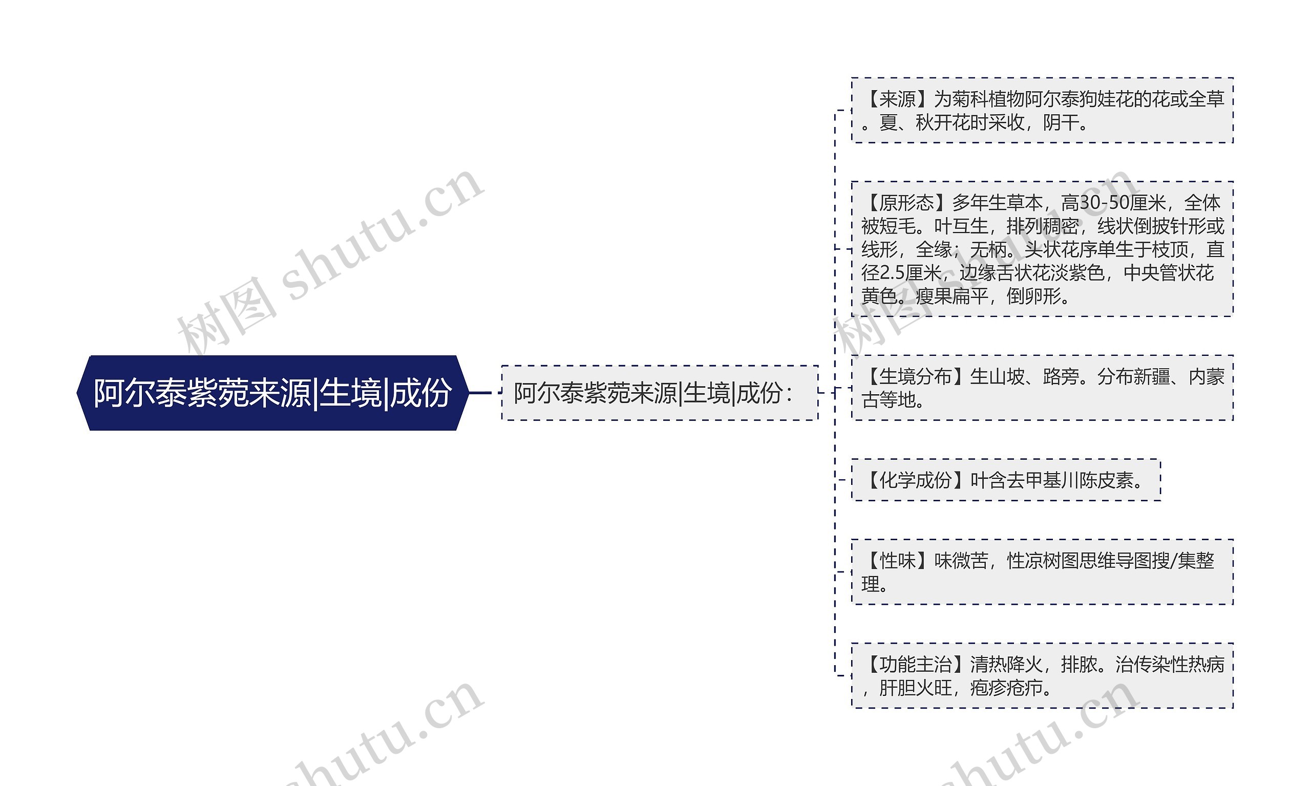阿尔泰紫菀来源|生境|成份 阿尔泰紫菀来源|生境|成份