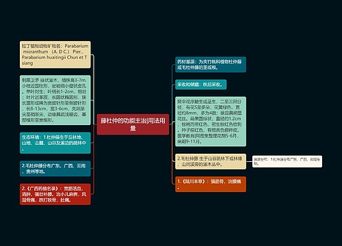 藤杜仲的功能主治|用法用量