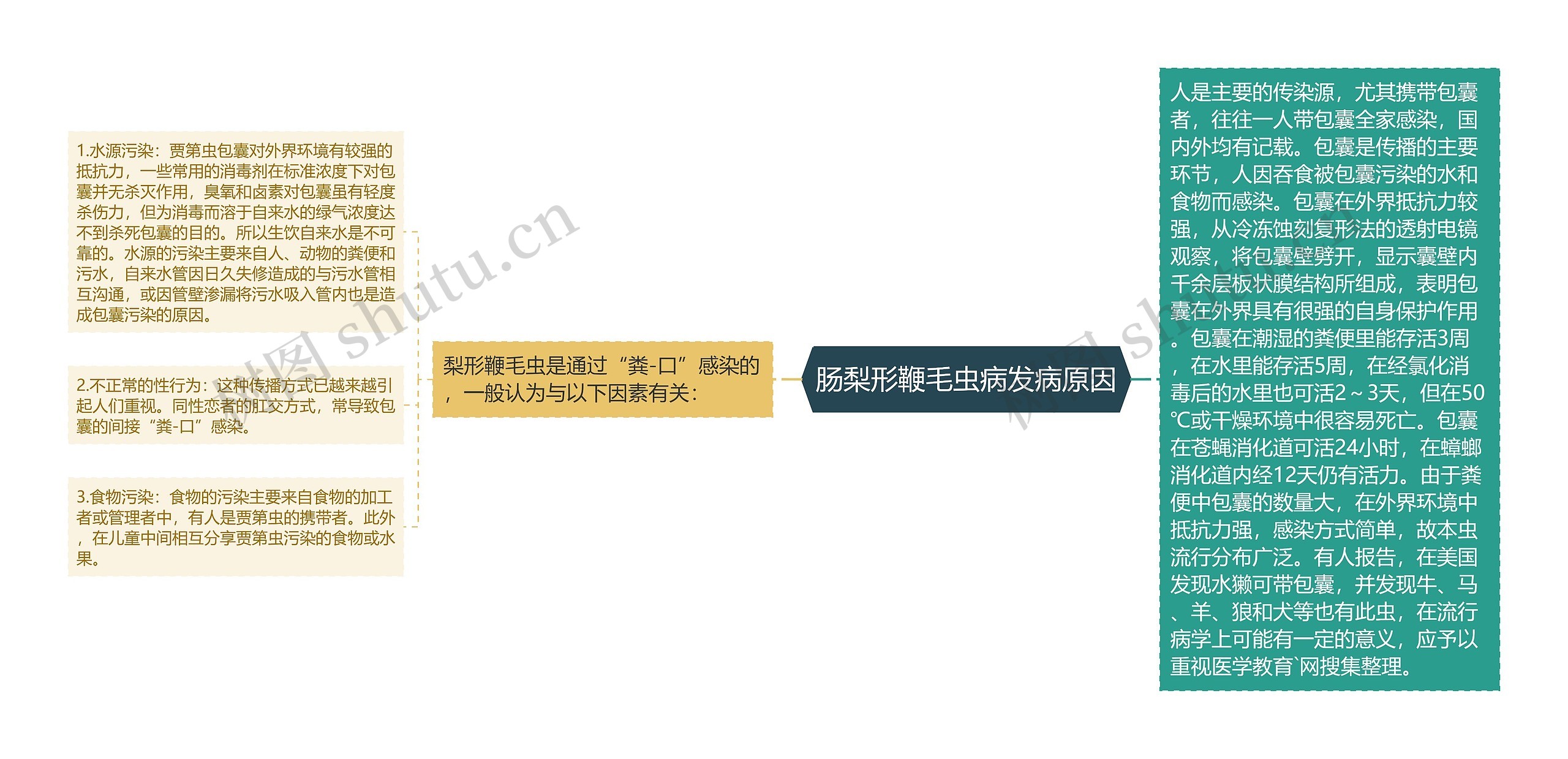 肠梨形鞭毛虫病发病原因 肠梨形鞭毛虫病发病原因