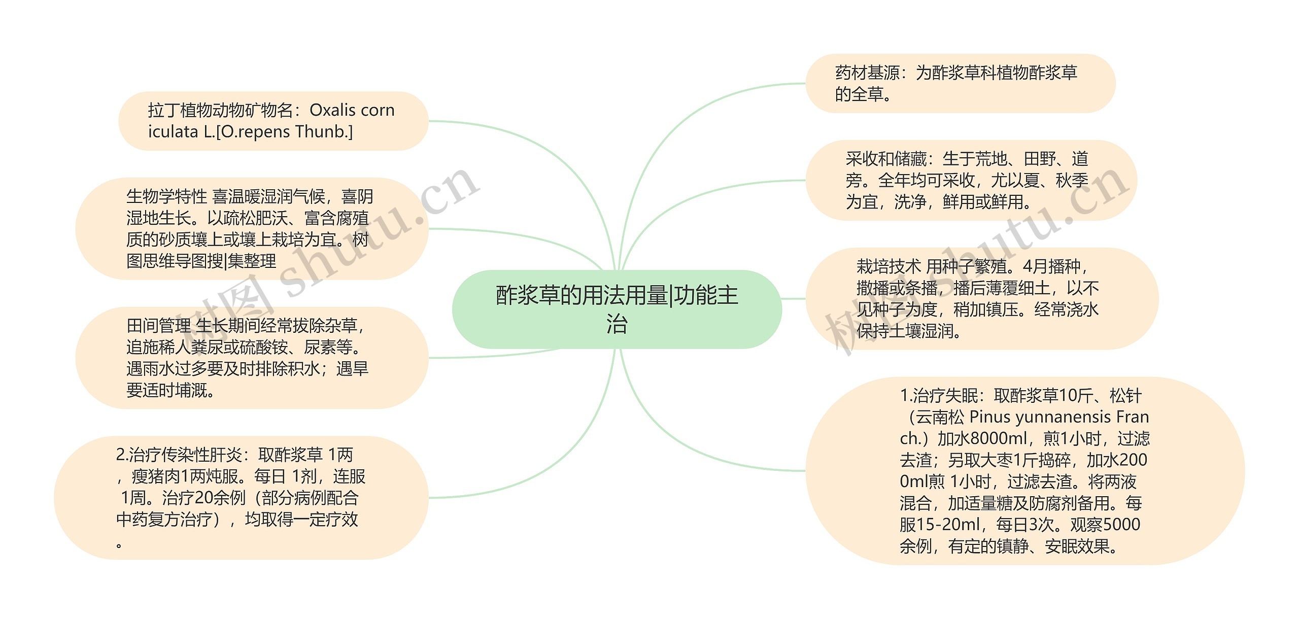 酢浆草的用法用量|功能主治思维导图