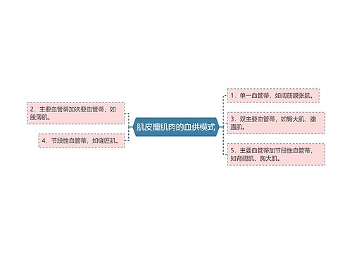 肌皮瓣肌肉的血供模式