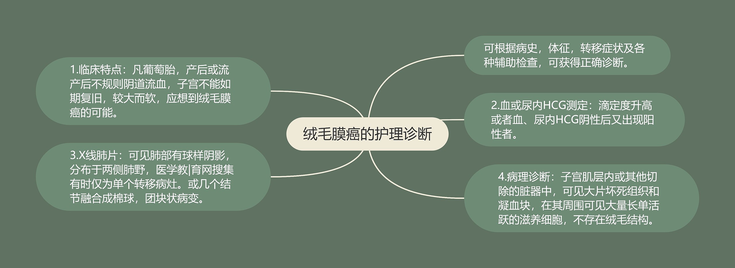 绒毛膜癌的护理诊断思维导图