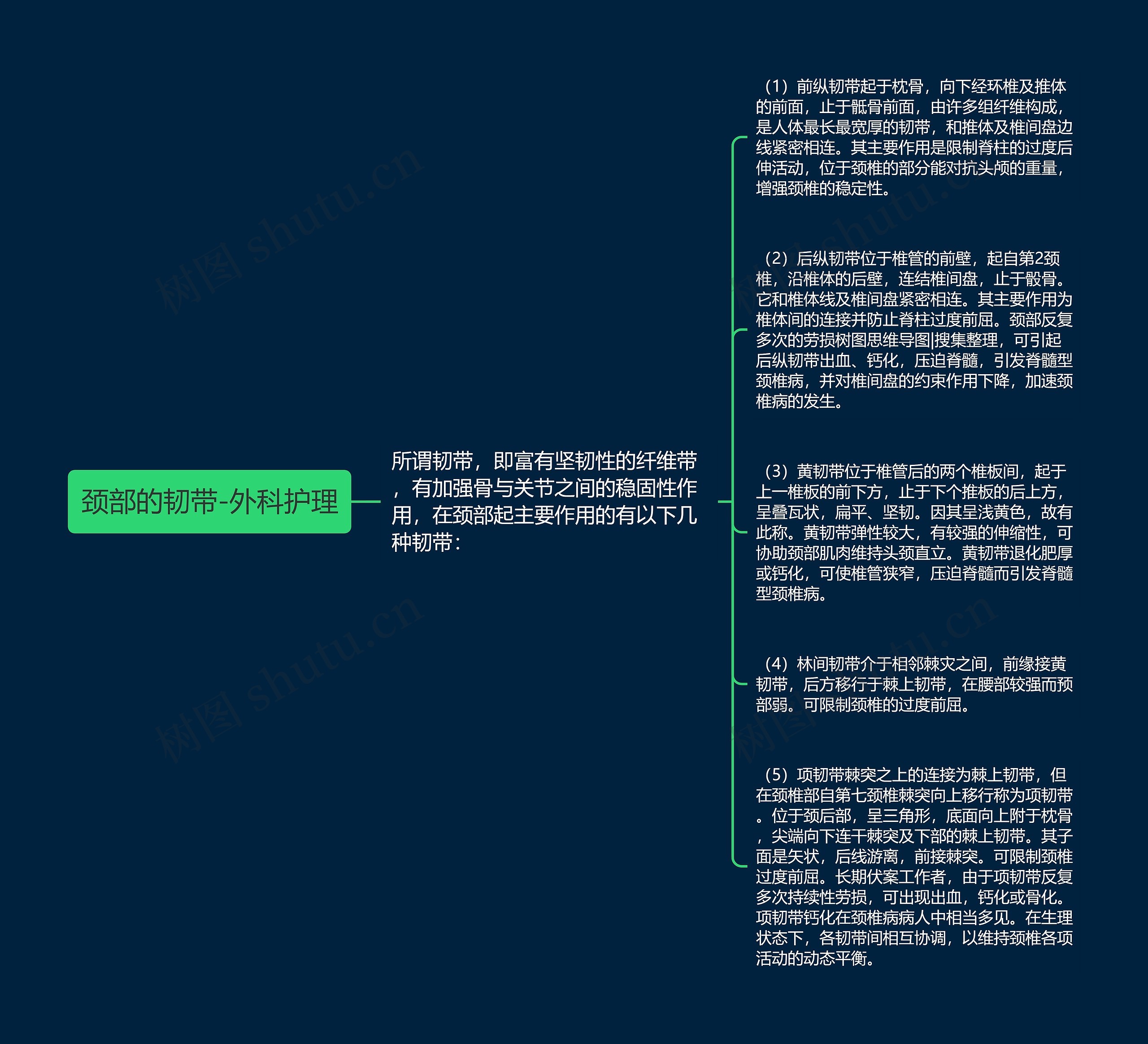 颈部的韧带-外科护理思维导图