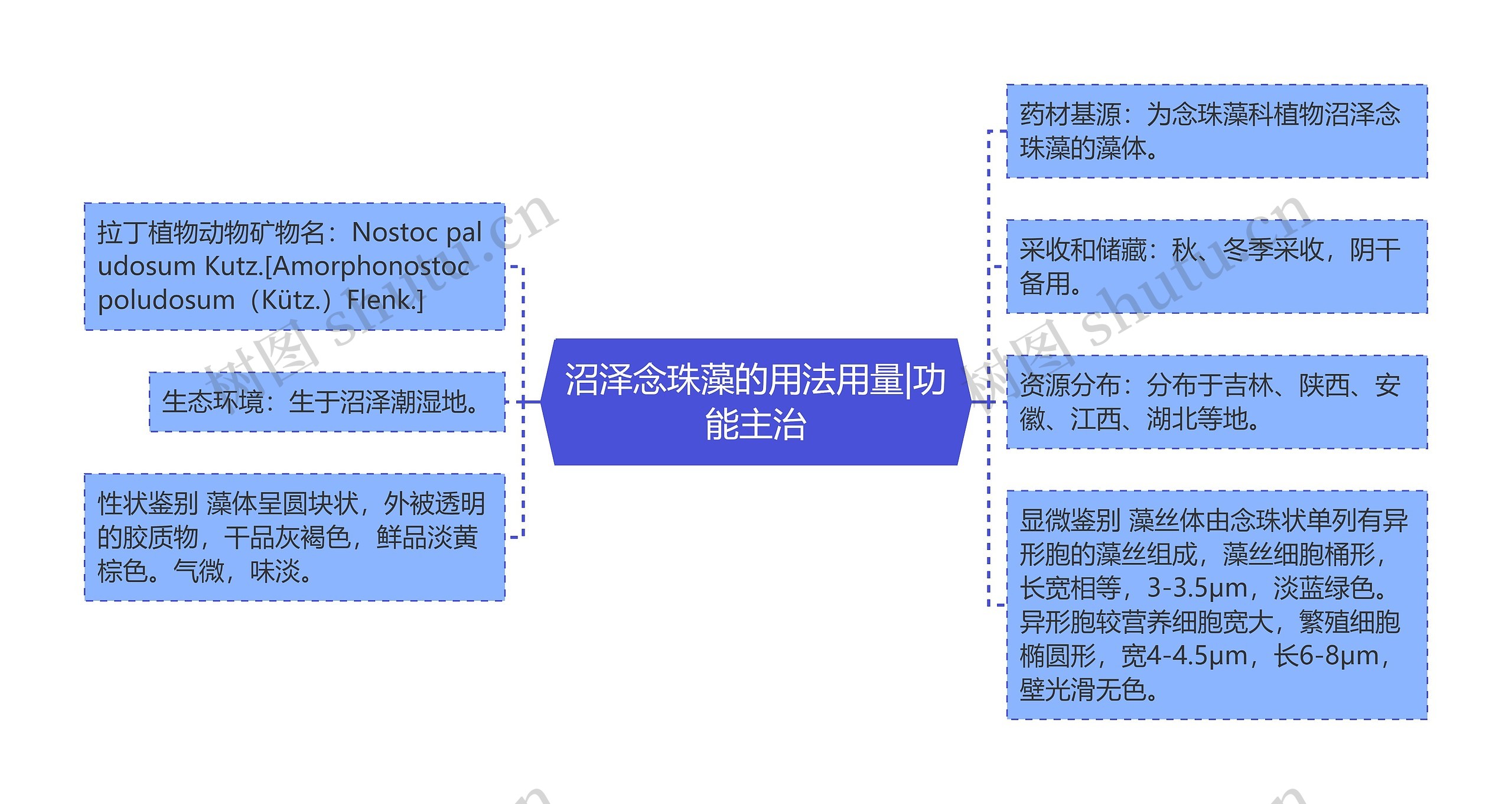 沼泽念珠藻的用法用量|功能主治