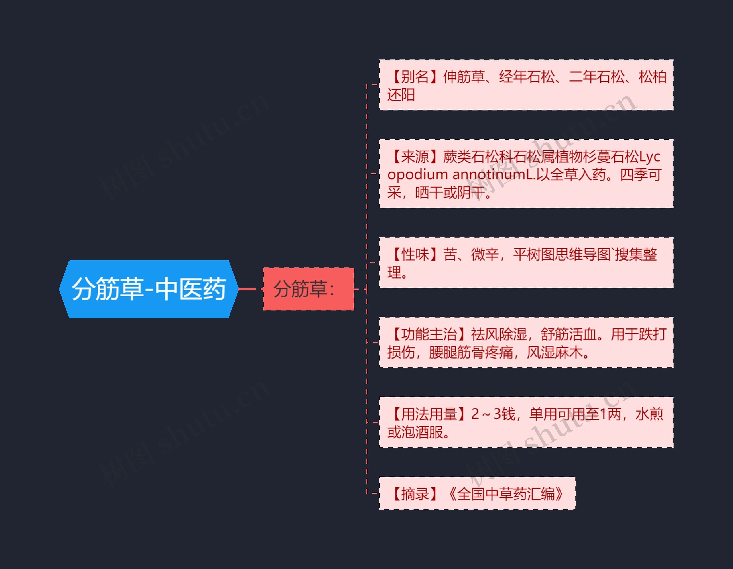 分筋草-中医药思维导图