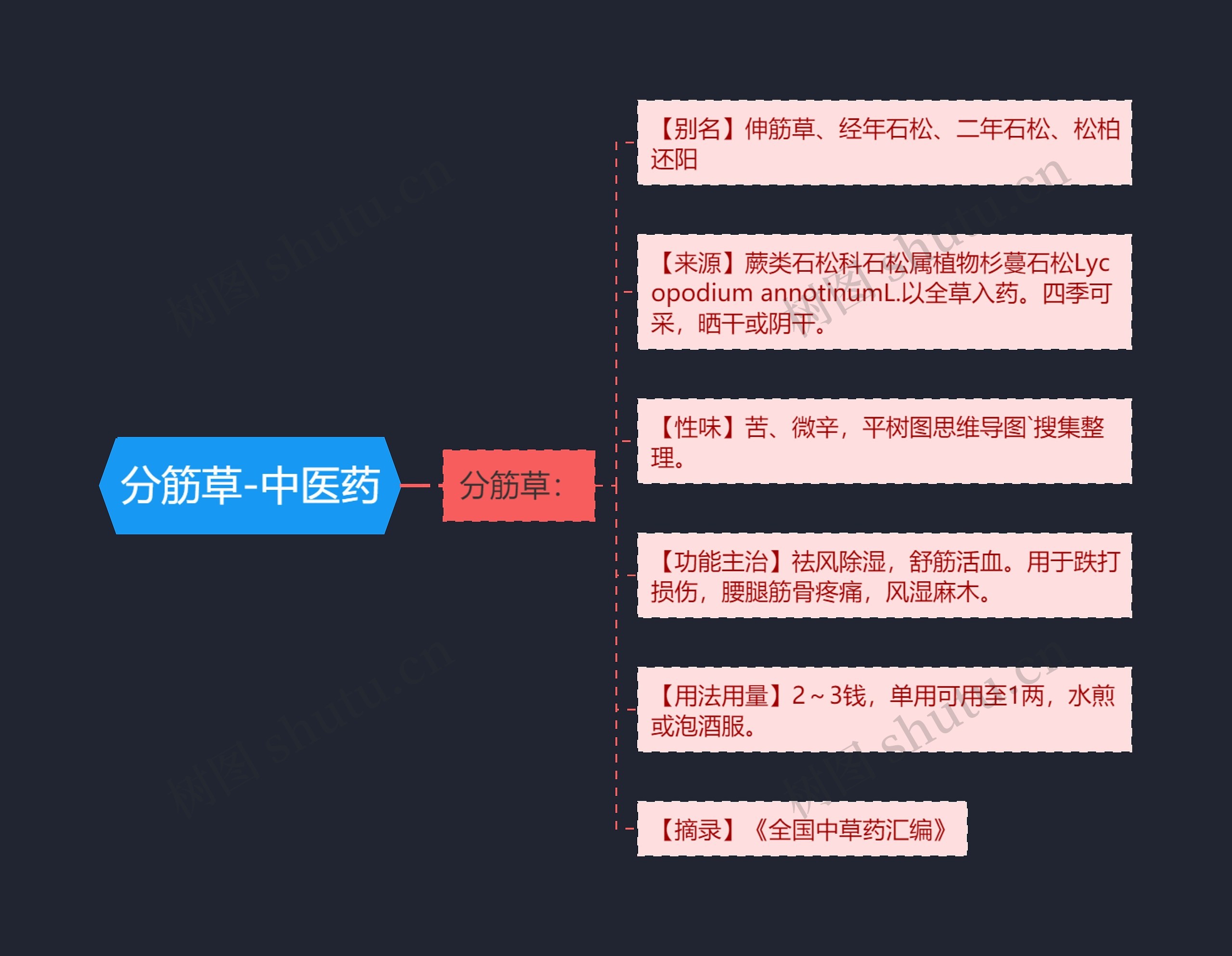 分筋草-中医药 分筋草-中医药