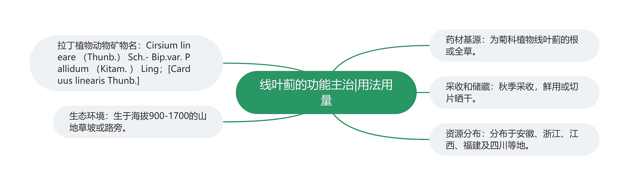 线叶蓟的功能主治|用法用量思维导图