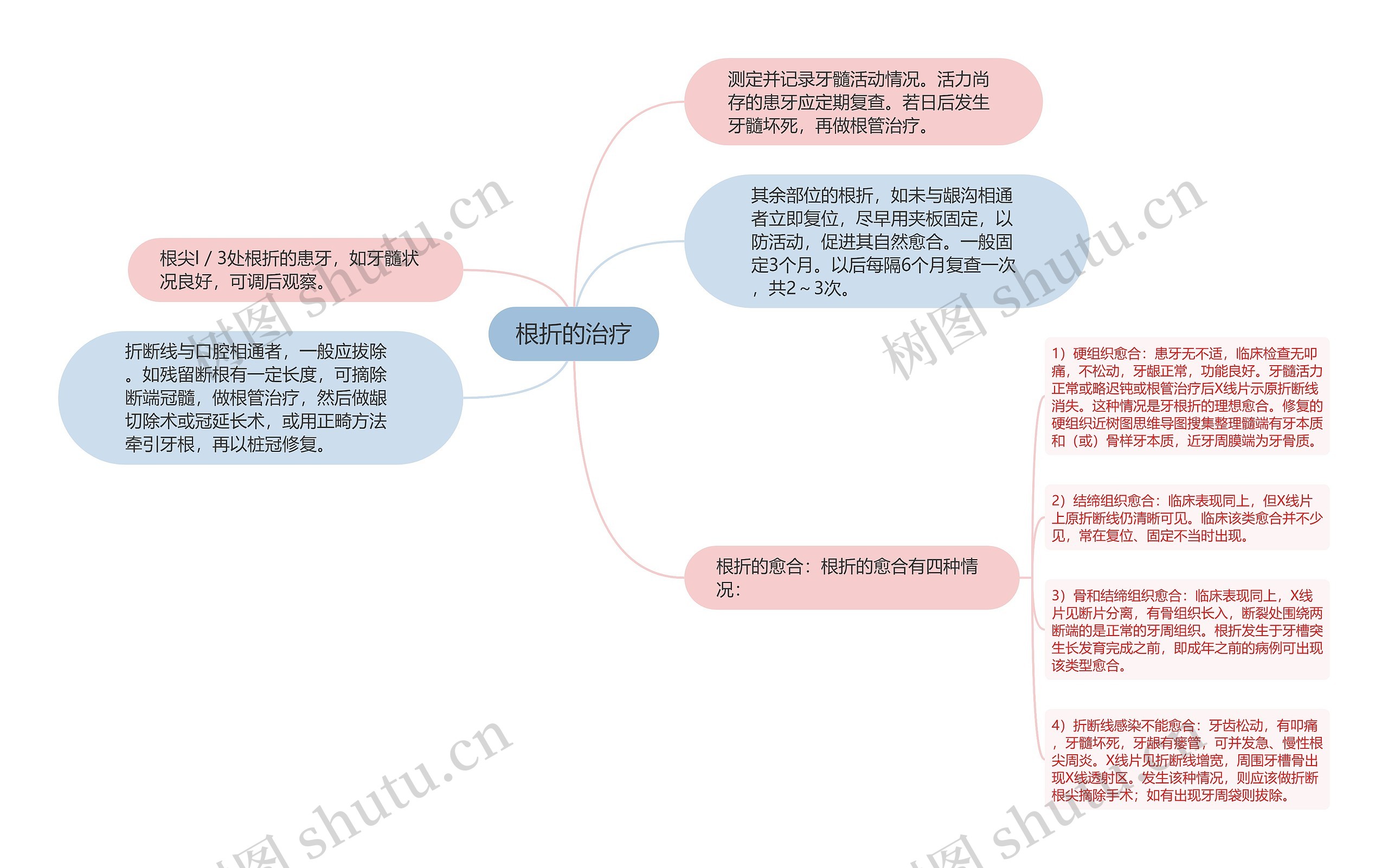 根折的治疗 根折的治疗